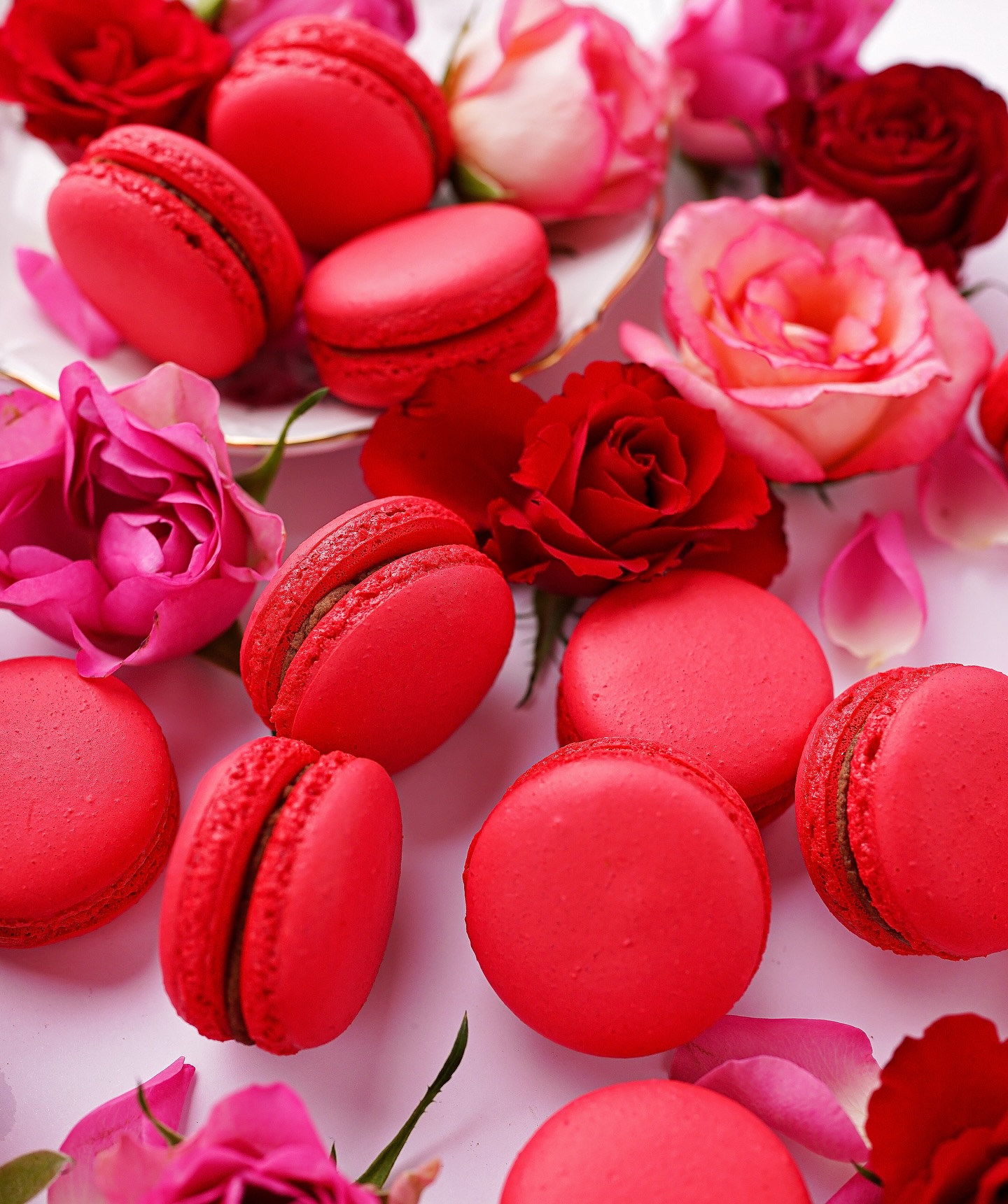 475874476_17985282965792475_2287887879621832462_n