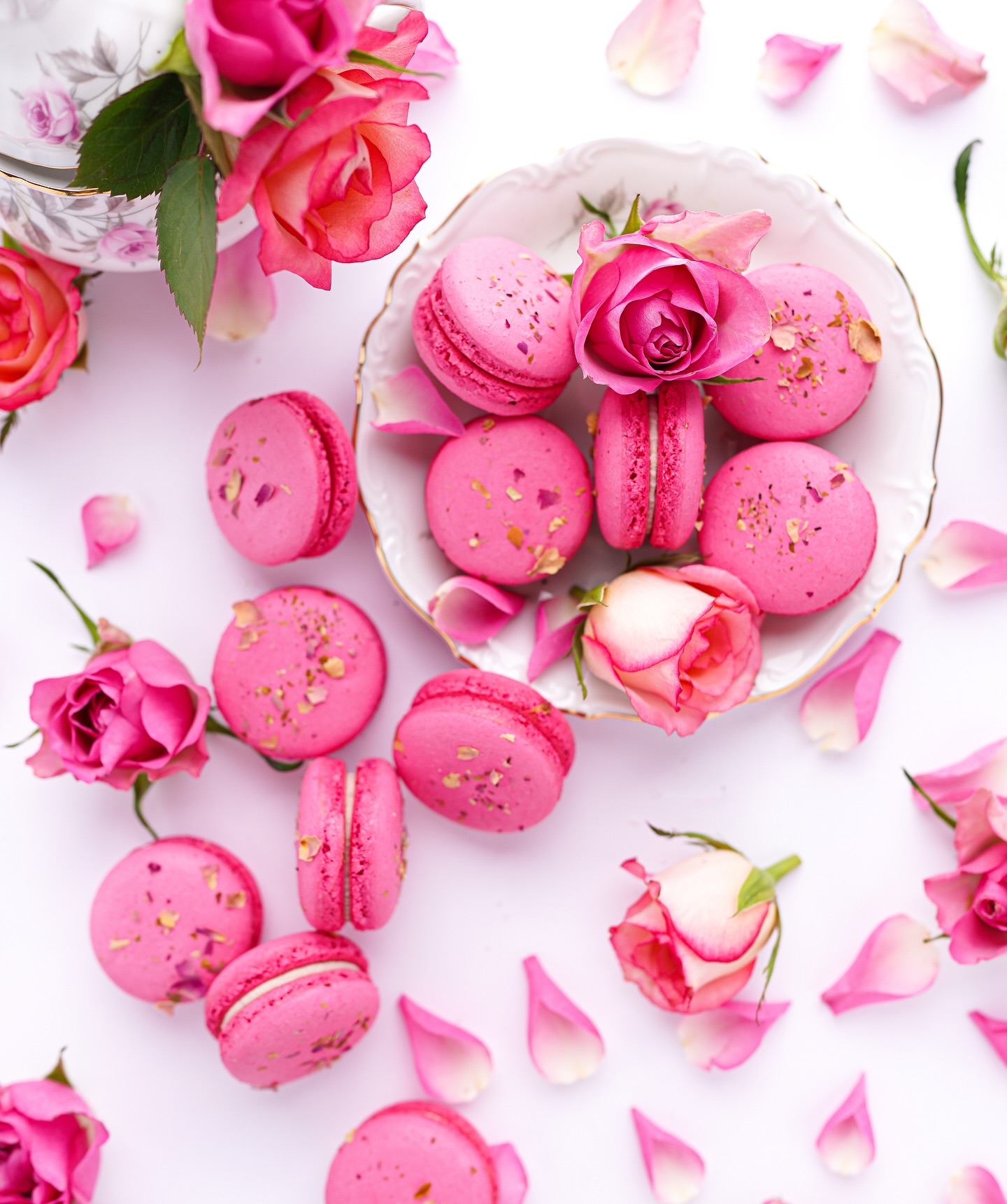 475881887_17985282941792475_6349423570965824412_n