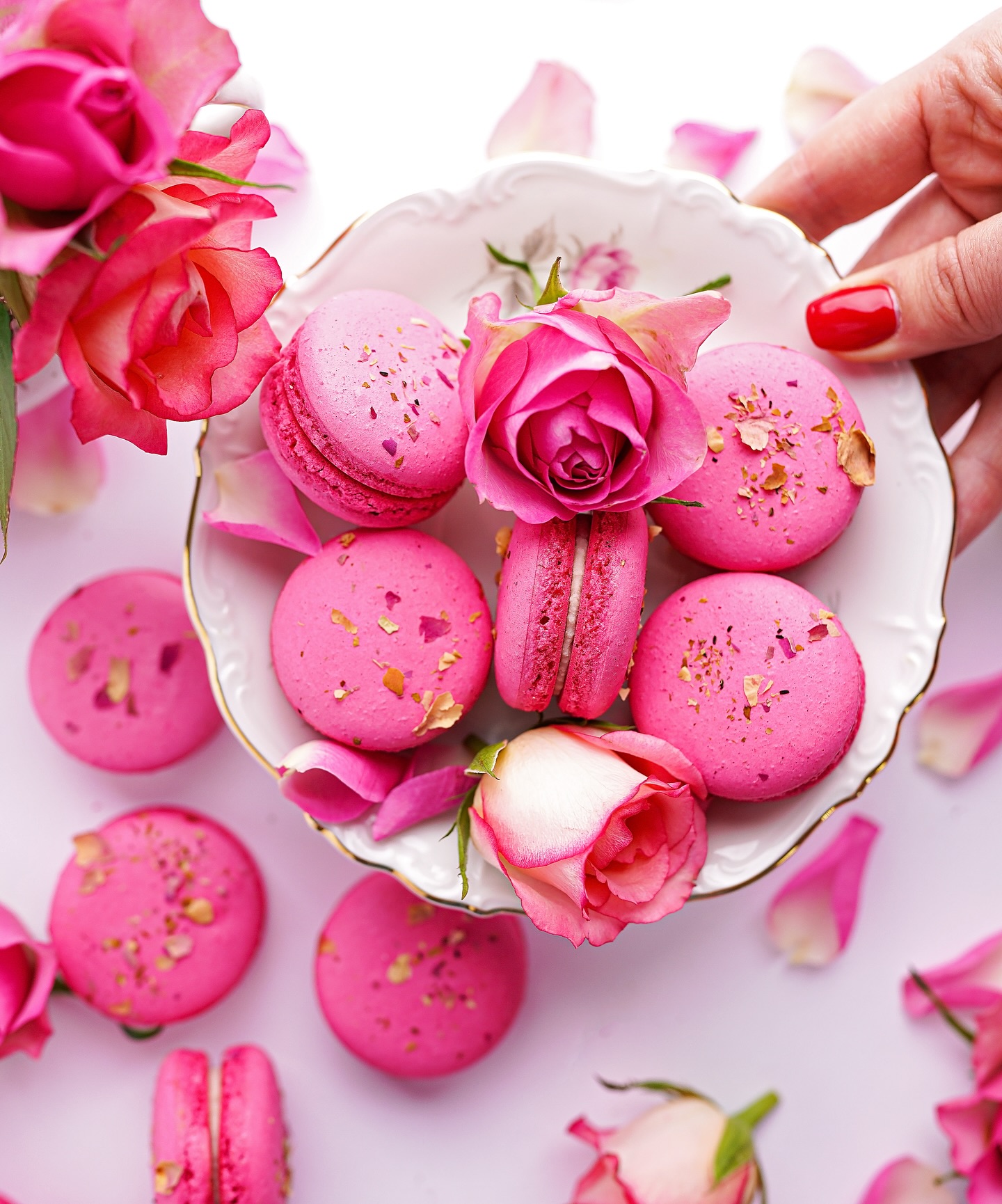 476134946_17985283085792475_2468823954891880706_n