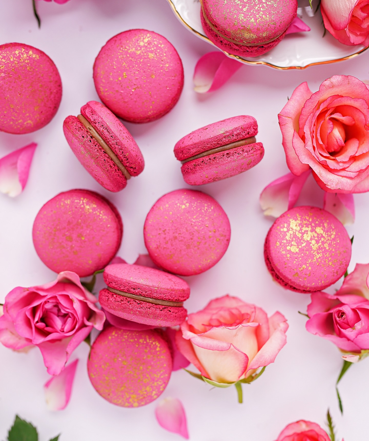 476401842_17985283016792475_5167424473140216904_n