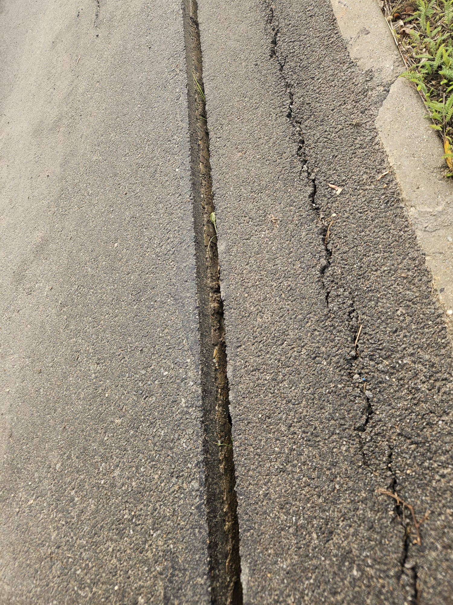 ec55ffaf-03b8-4519-96e4-8f2178ef985e