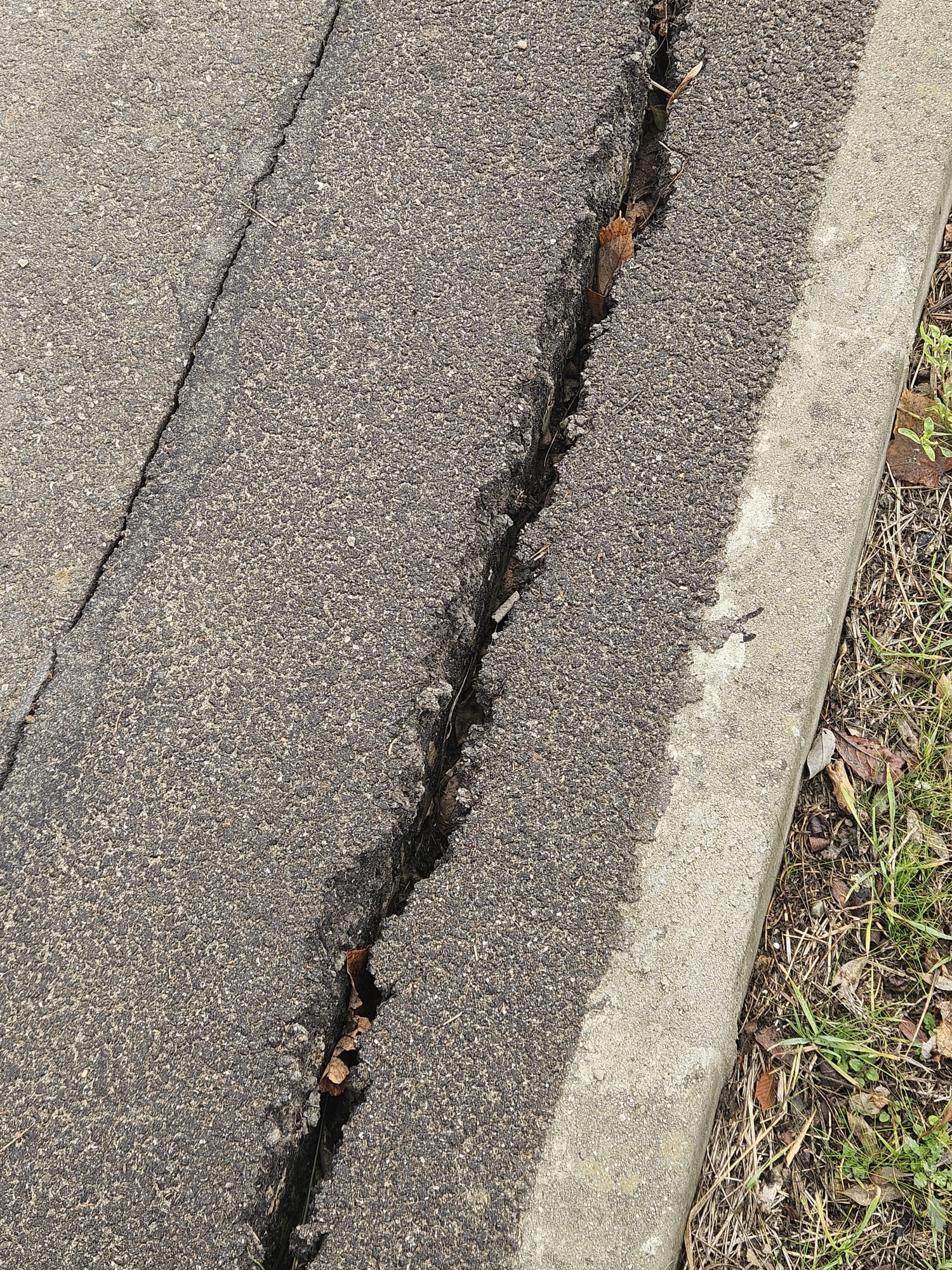 8f02fe2d-aa33-403c-9f54-2b368323f686