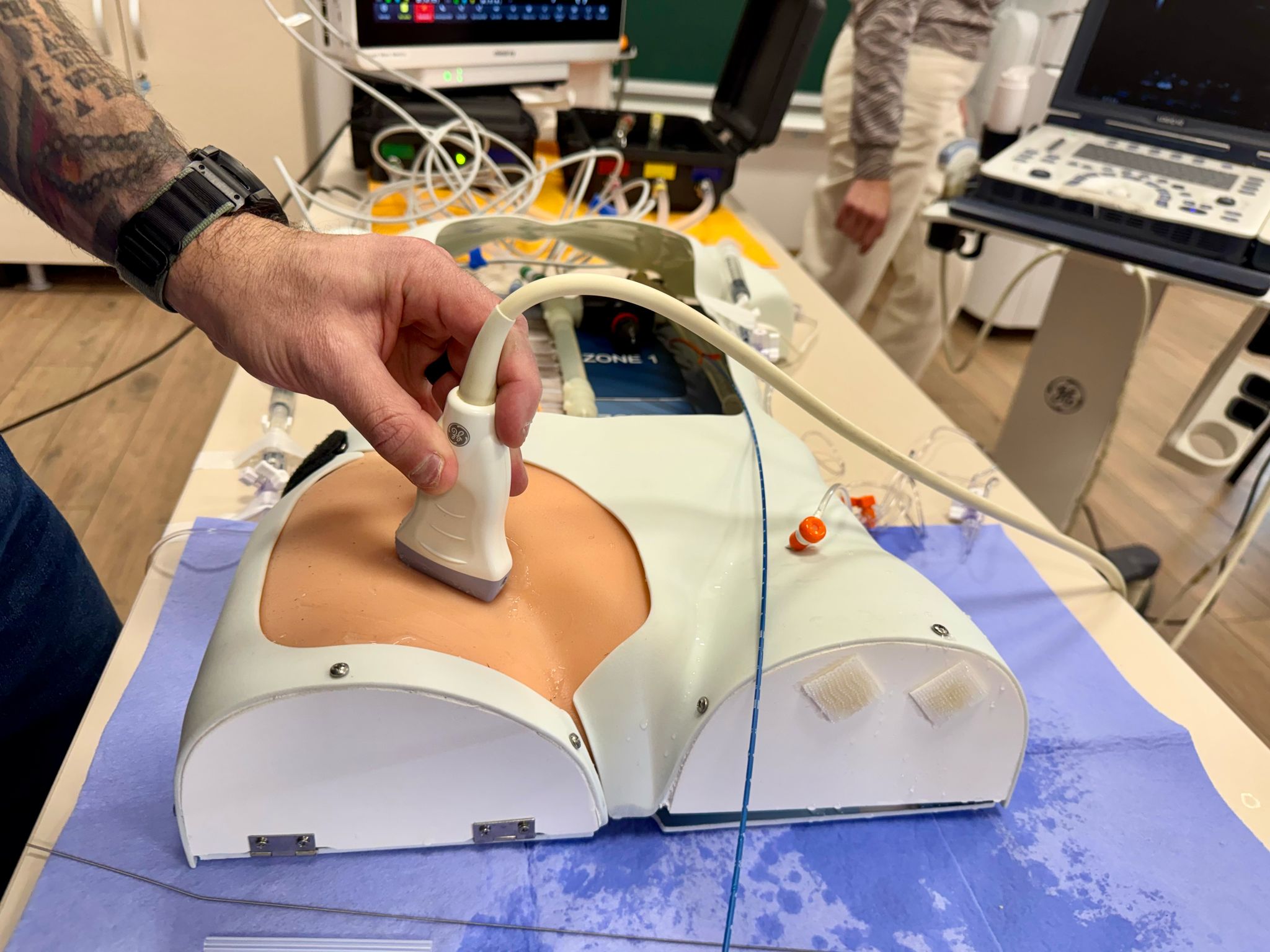 482254047_9458176117574281_6970755849561786506_n