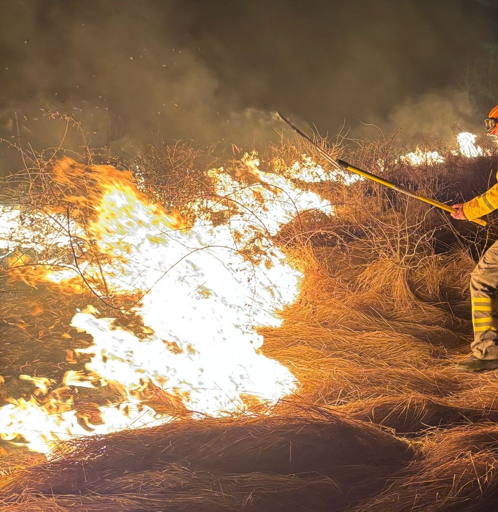 Peste 60 de incendii de vegetație 10.03.2025; Foto: ISU Bihor