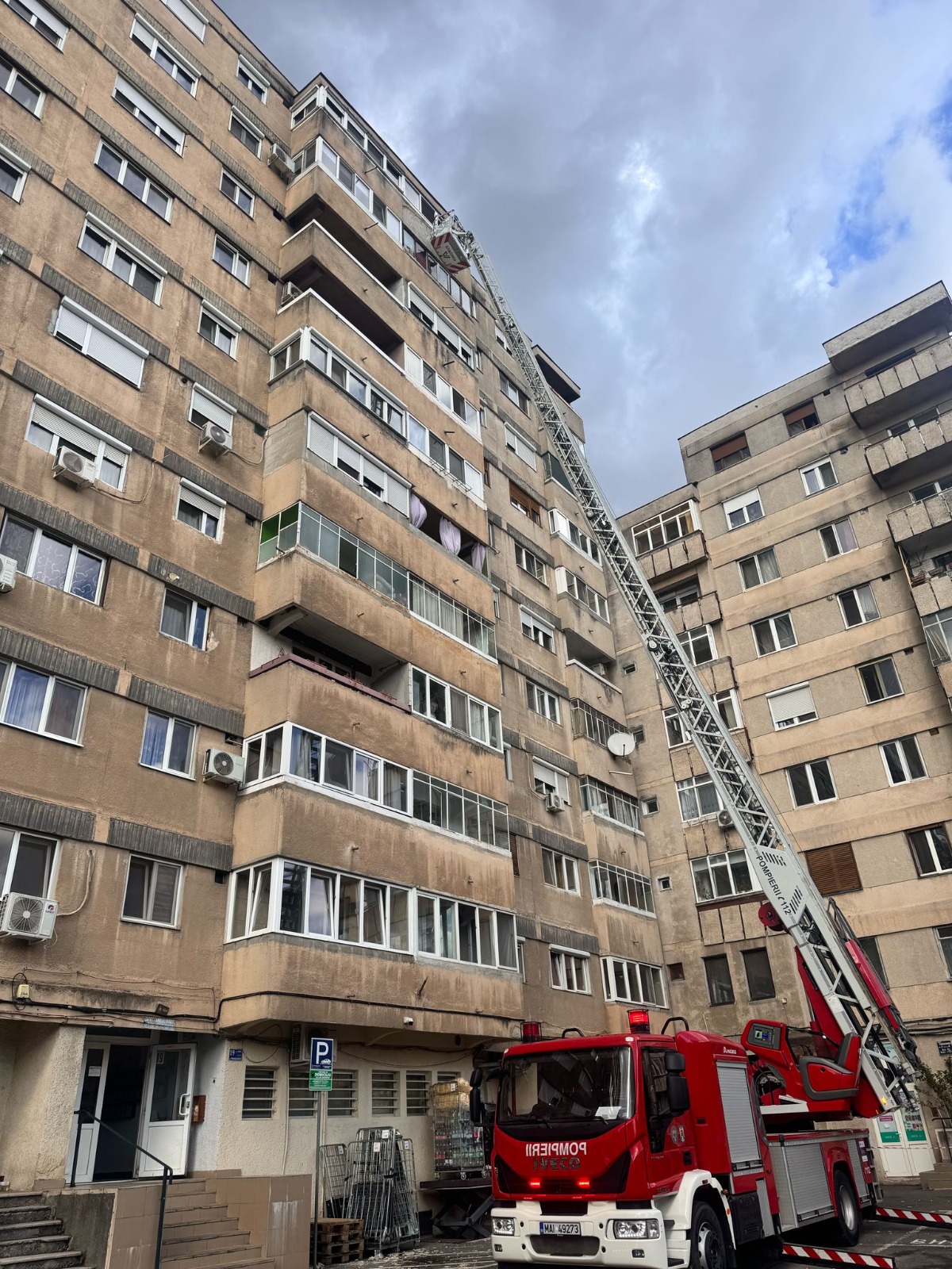 WhatsApp Image 2025-03-13 at 15.53.22 (1)