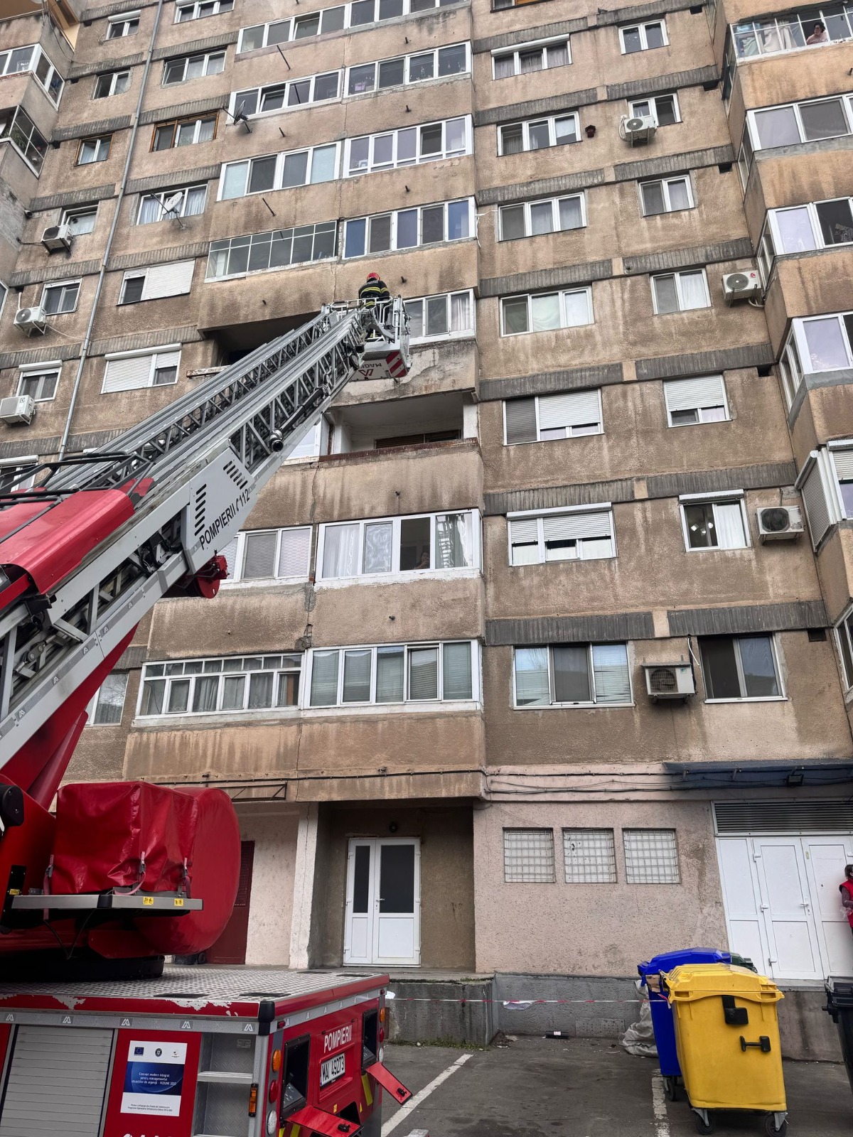 WhatsApp Image 2025-03-13 at 15.53.22