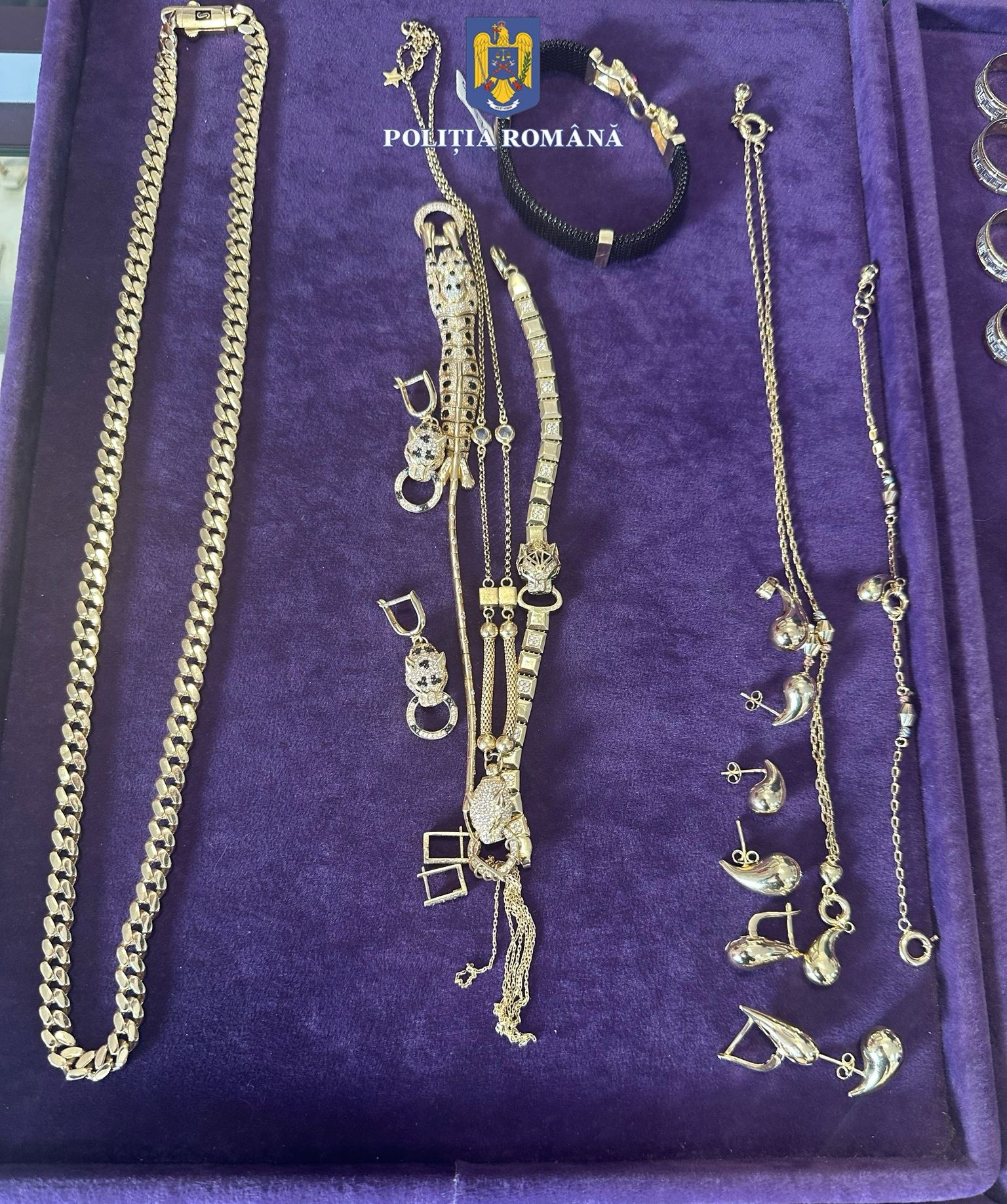 WhatsApp Image 2025-03-14 at 11.00.11 - Copy