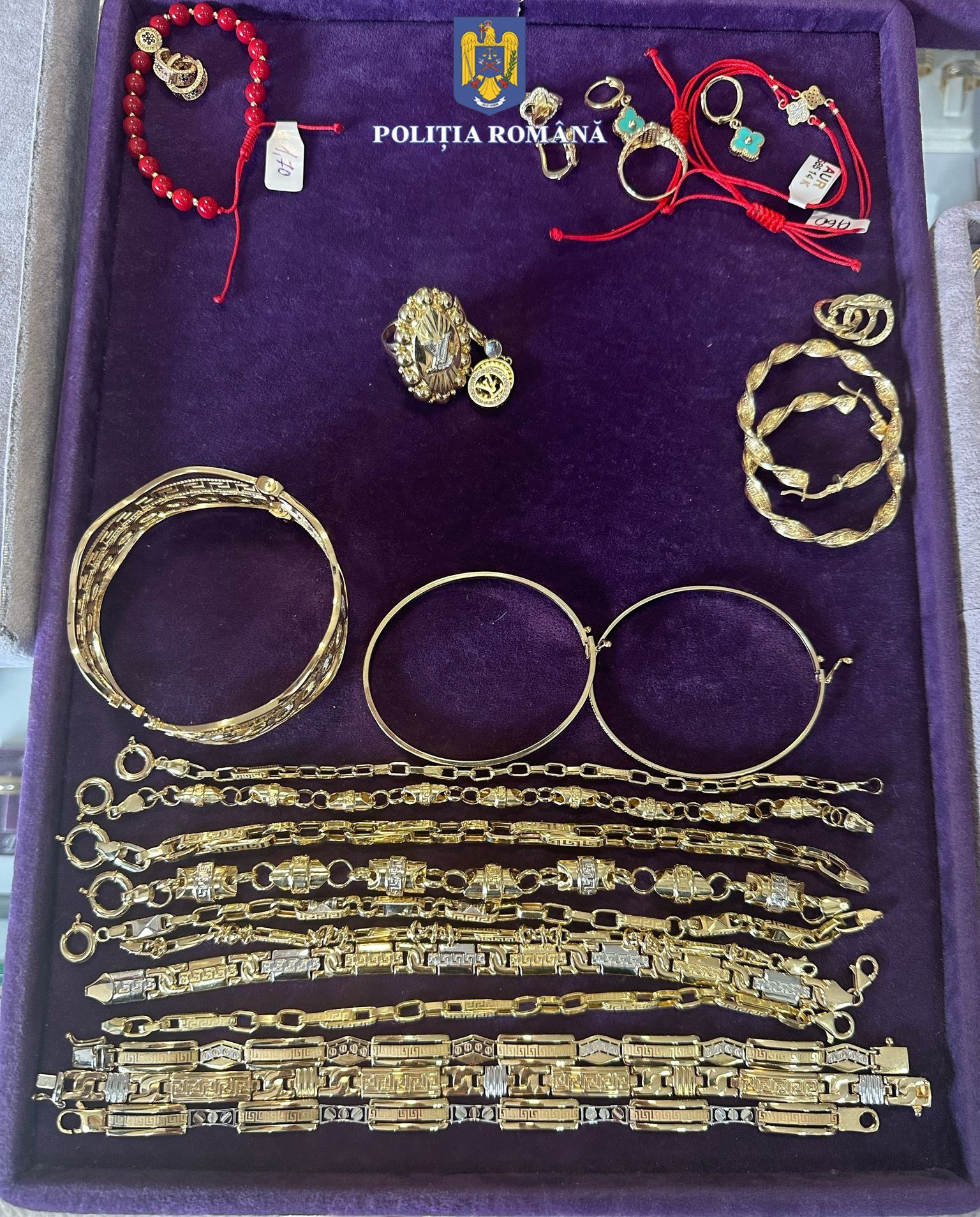 WhatsApp Image 2025-03-14 at 11.00.11 (1) - Copy