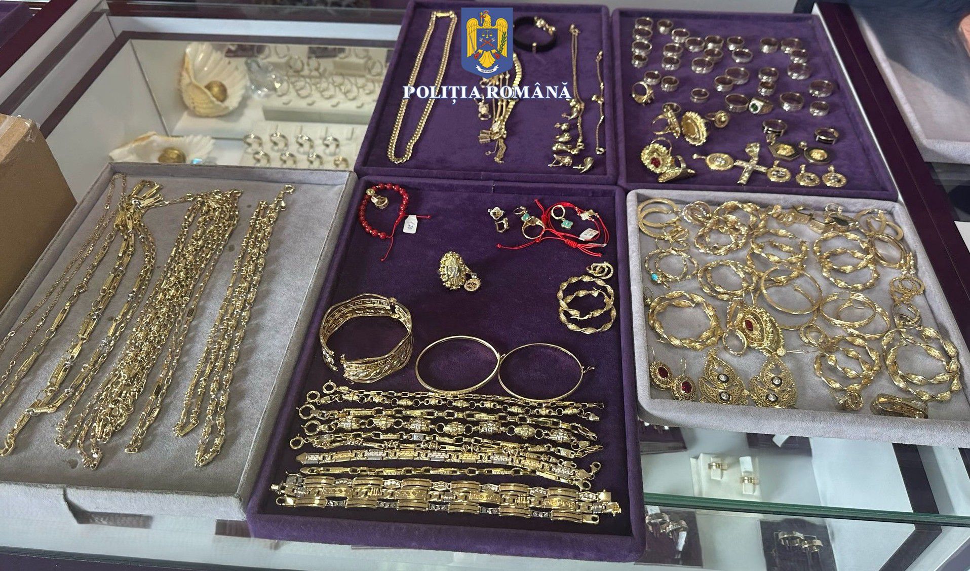 WhatsApp Image 2025-03-14 at 11.00.12 (1) - Copy