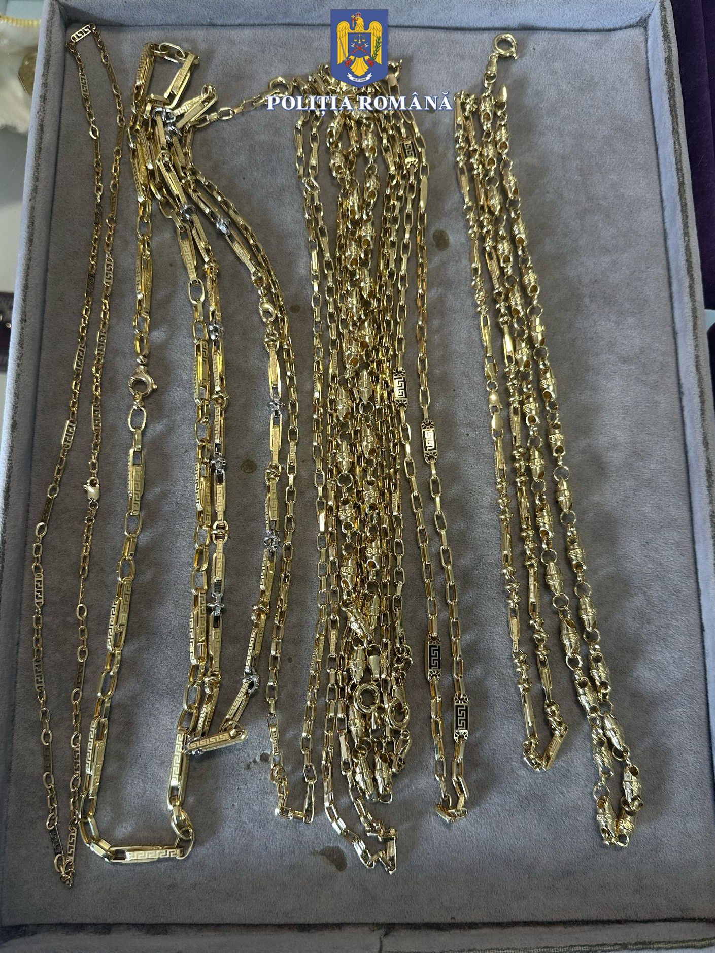 WhatsApp Image 2025-03-14 at 11.00.12