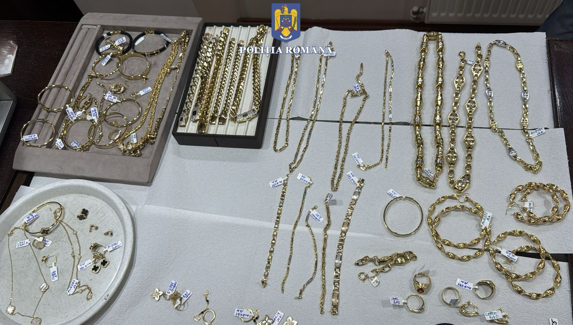 WhatsApp Image 2025-03-14 at 11.00.13