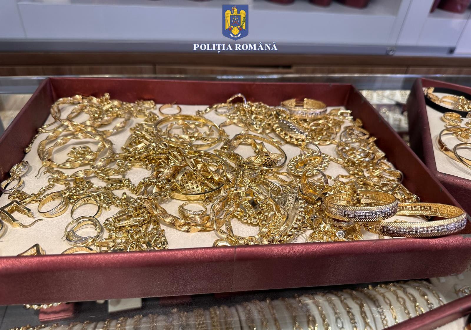 WhatsApp Image 2025-03-14 at 11.00.14 (1)