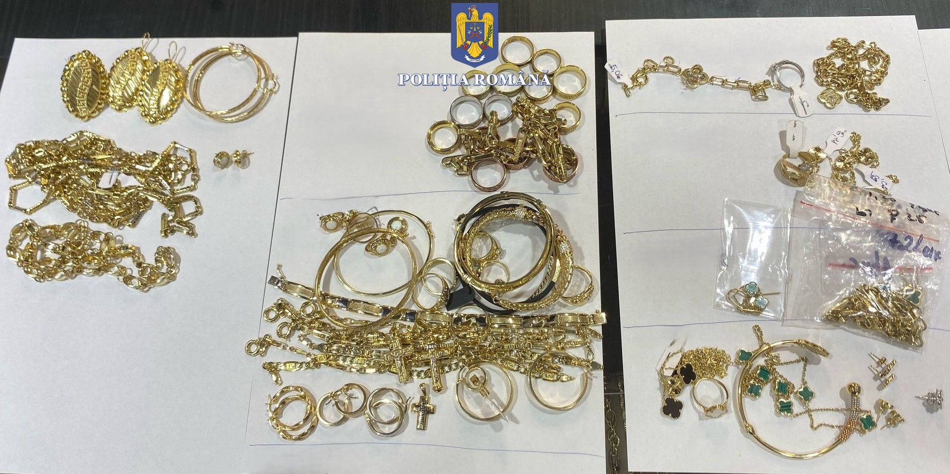 WhatsApp Image 2025-03-14 at 11.00.14