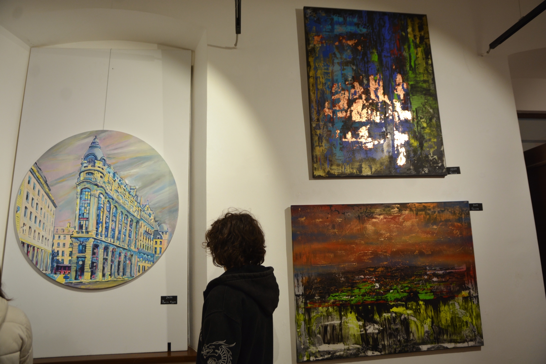 expoziţie Ştefan Postol (2)