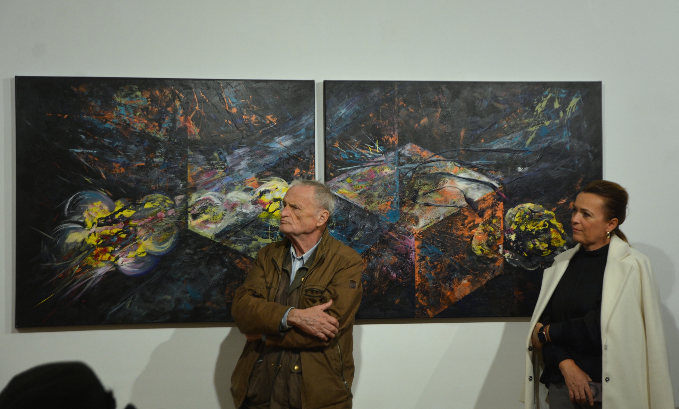 expoziţie Ştefan Postol (19)