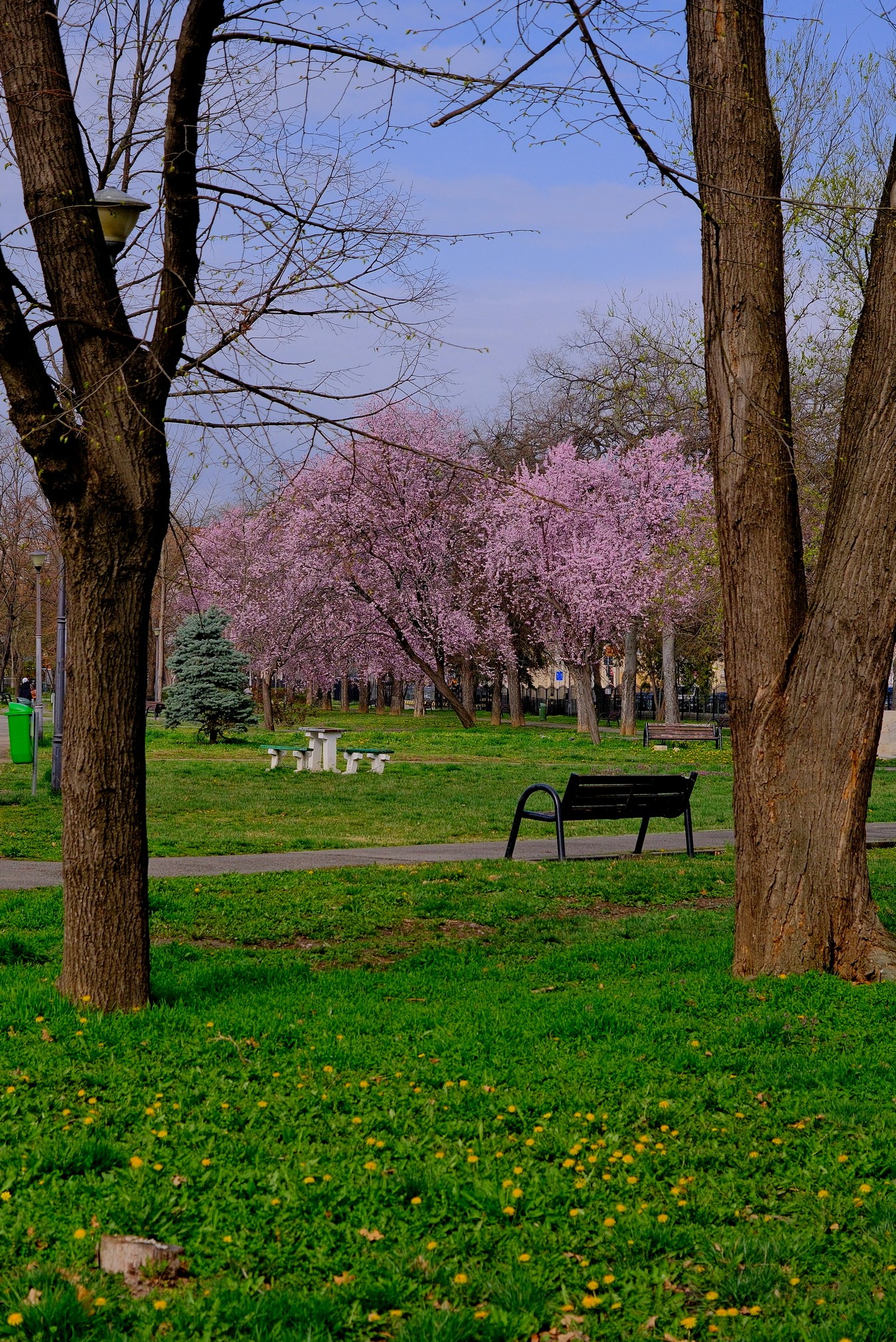 parcul 1 decembrie 2