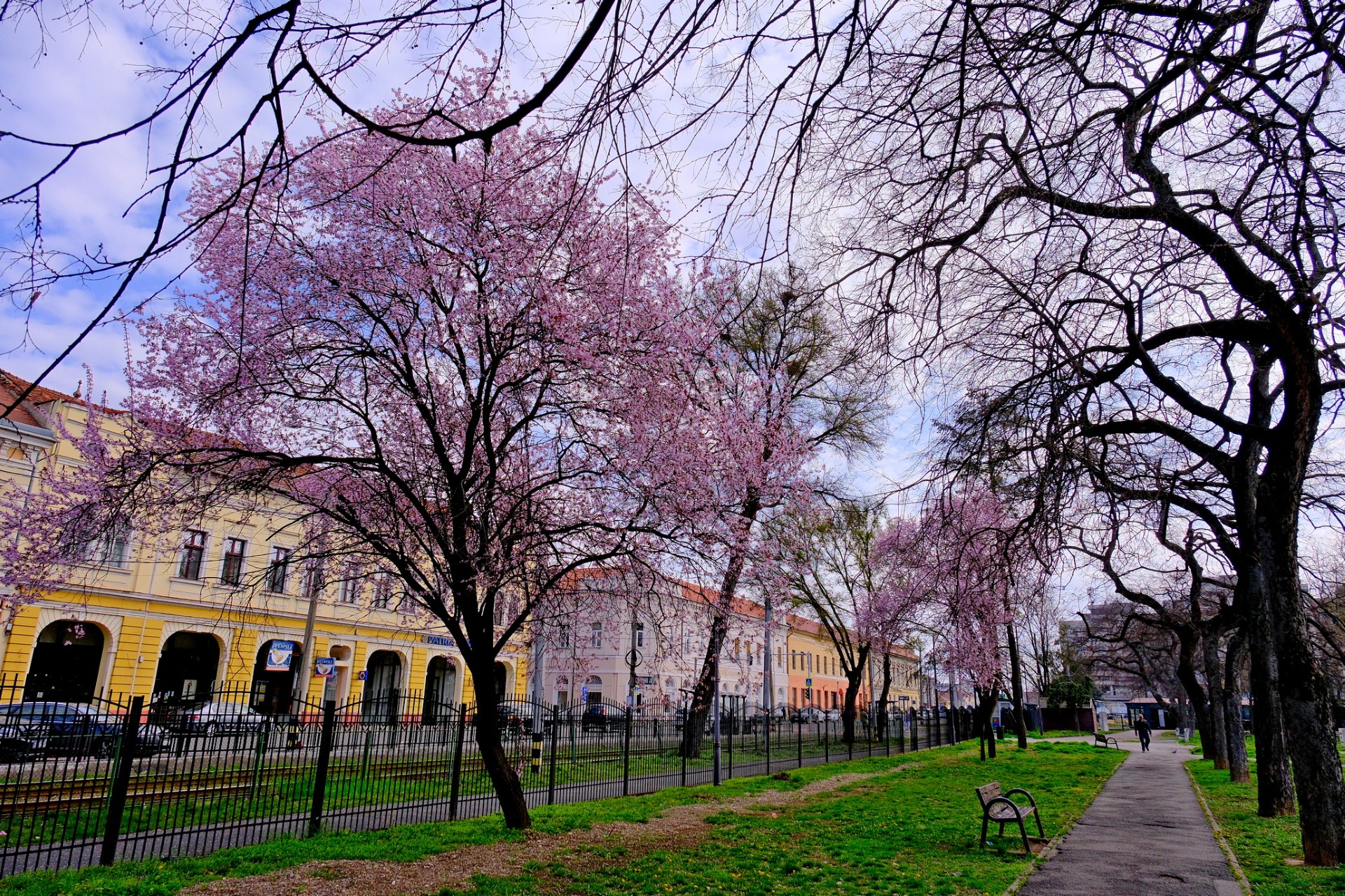foto: Temperaturi oscilante și precipații în următoarele două săptămâni, 24.03.2025