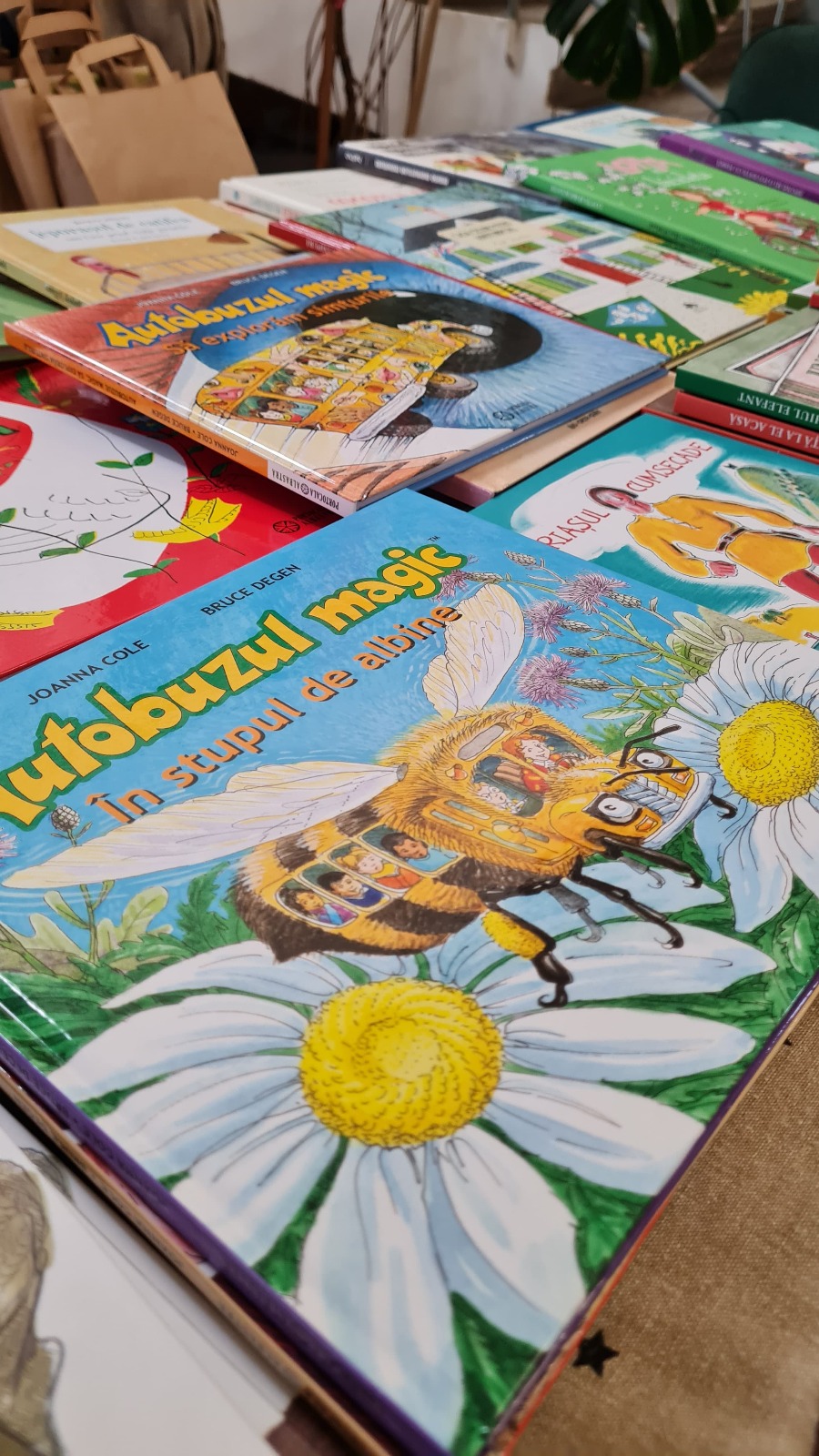 WhatsApp Image 2025-03-25 at 16.28.50 (2)