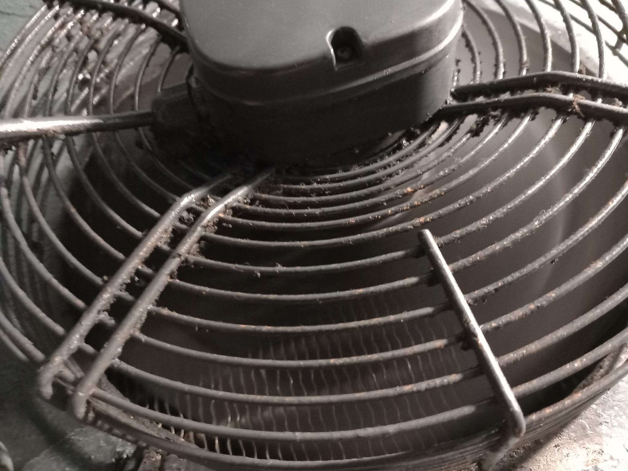 WhatsApp Image 2025-03-27 at 16.45.49 (1)