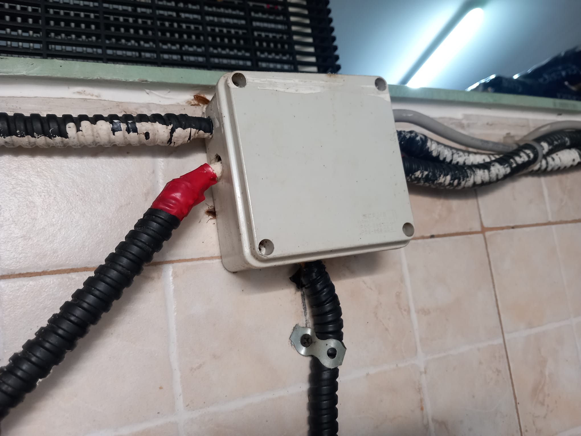 WhatsApp Image 2025-03-27 at 16.45.49 (2)