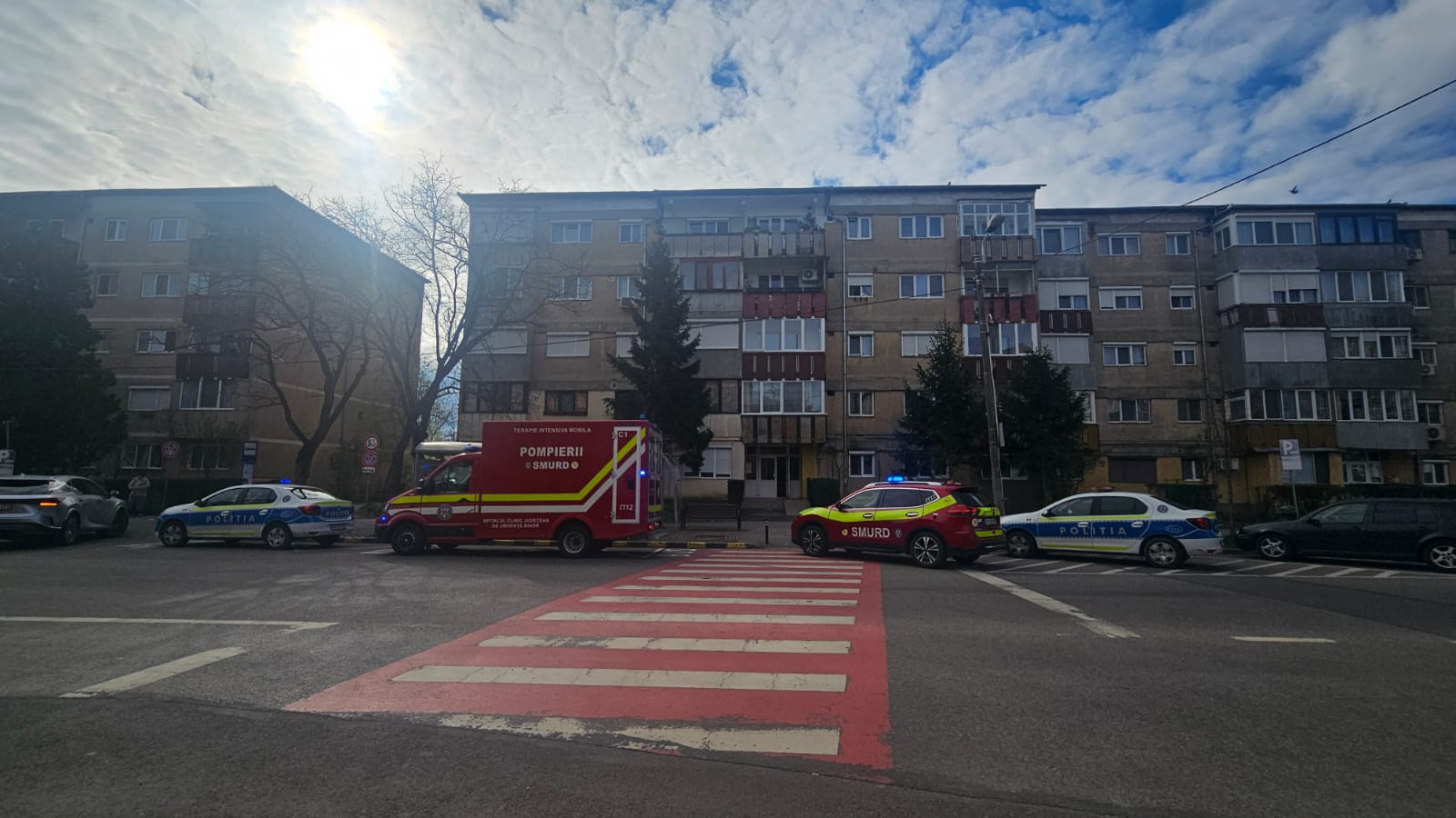 WhatsApp Image 2025-04-02 at 10.25.08 (2)