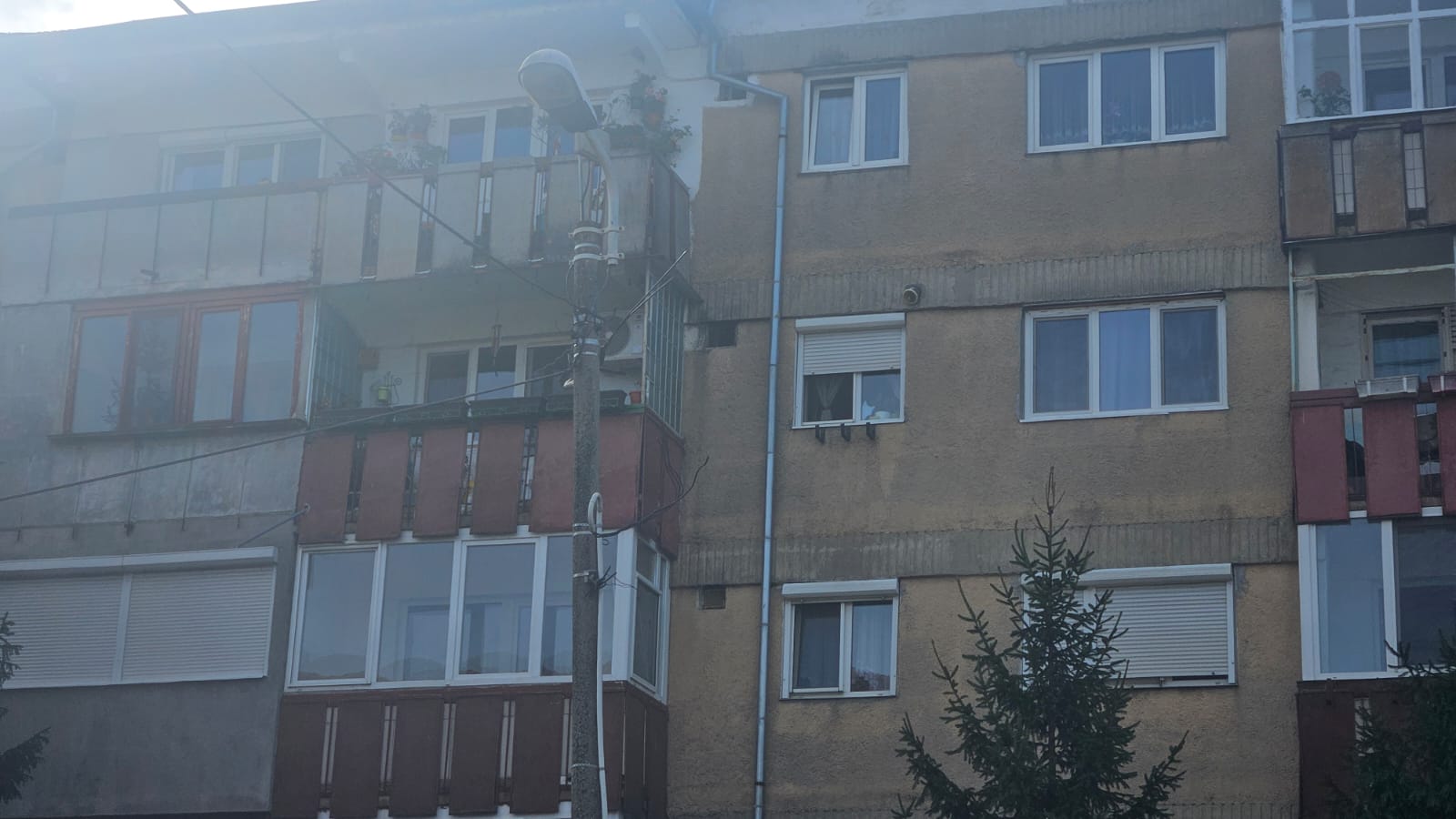 WhatsApp Image 2025-04-02 at 10.25.09