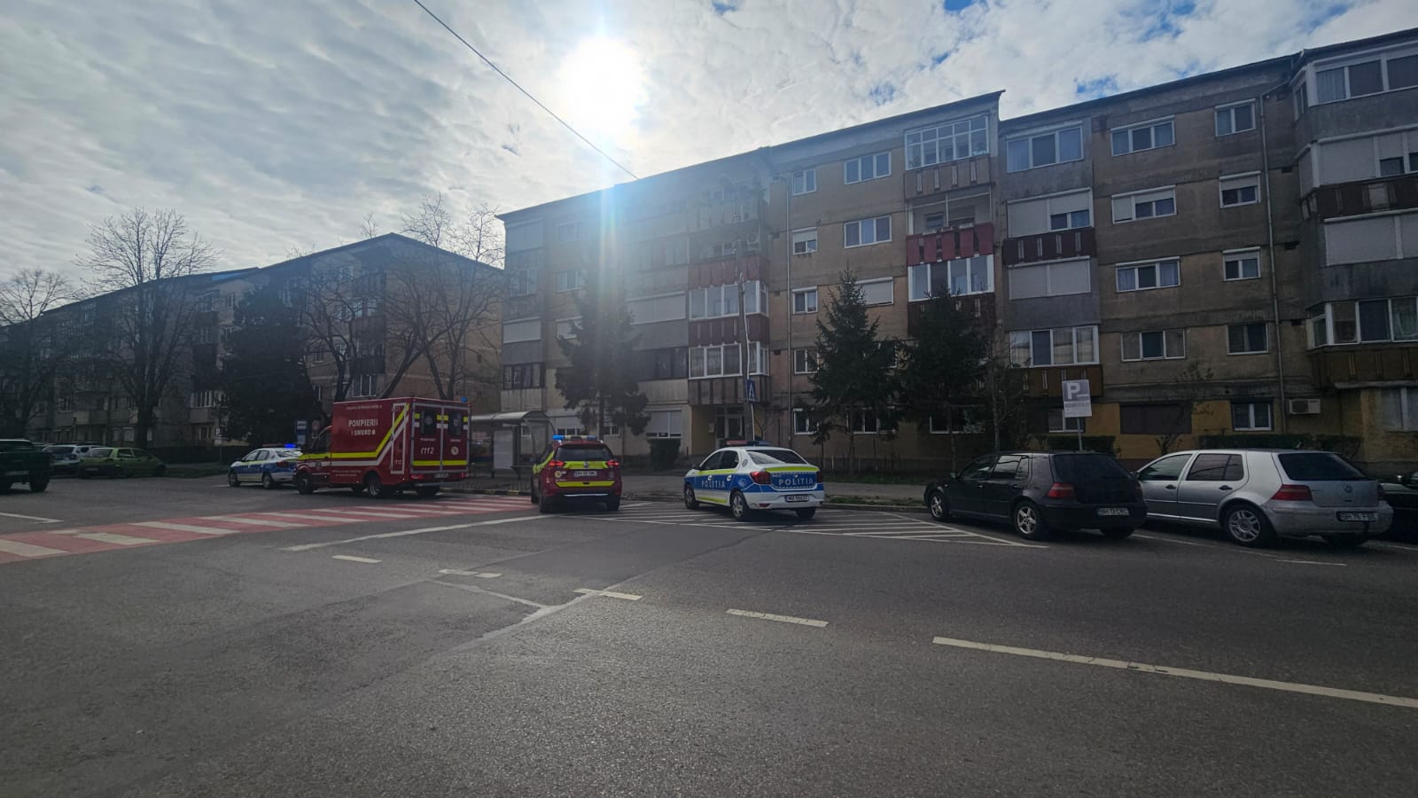 WhatsApp Image 2025-04-02 at 10.25.08 (1)