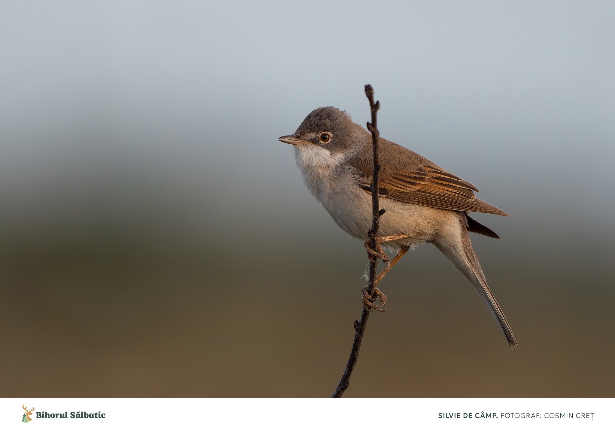 487531771_122197278650097014_1738837440624293857_n