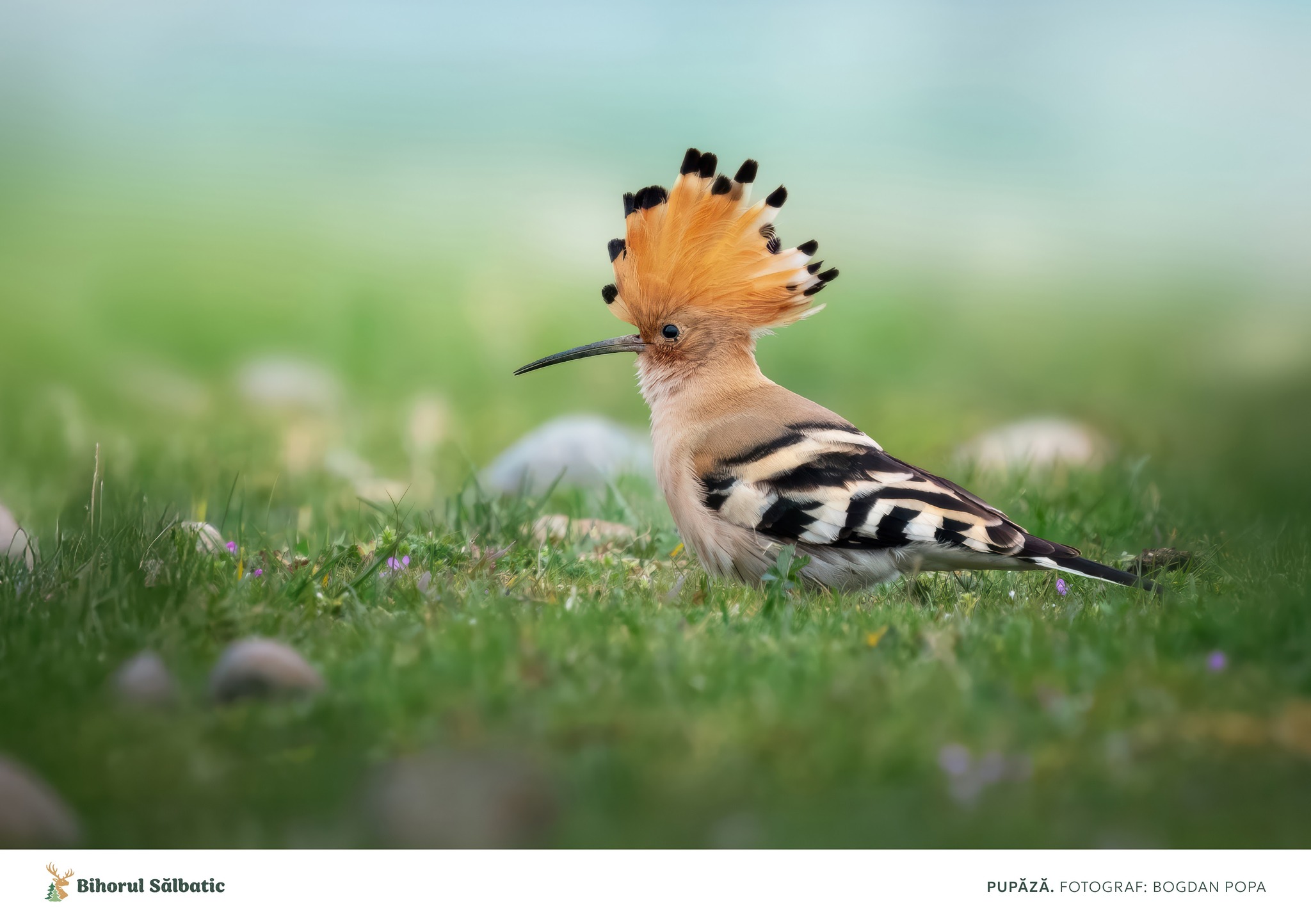 487601599_122197278572097014_3666980994725668590_n