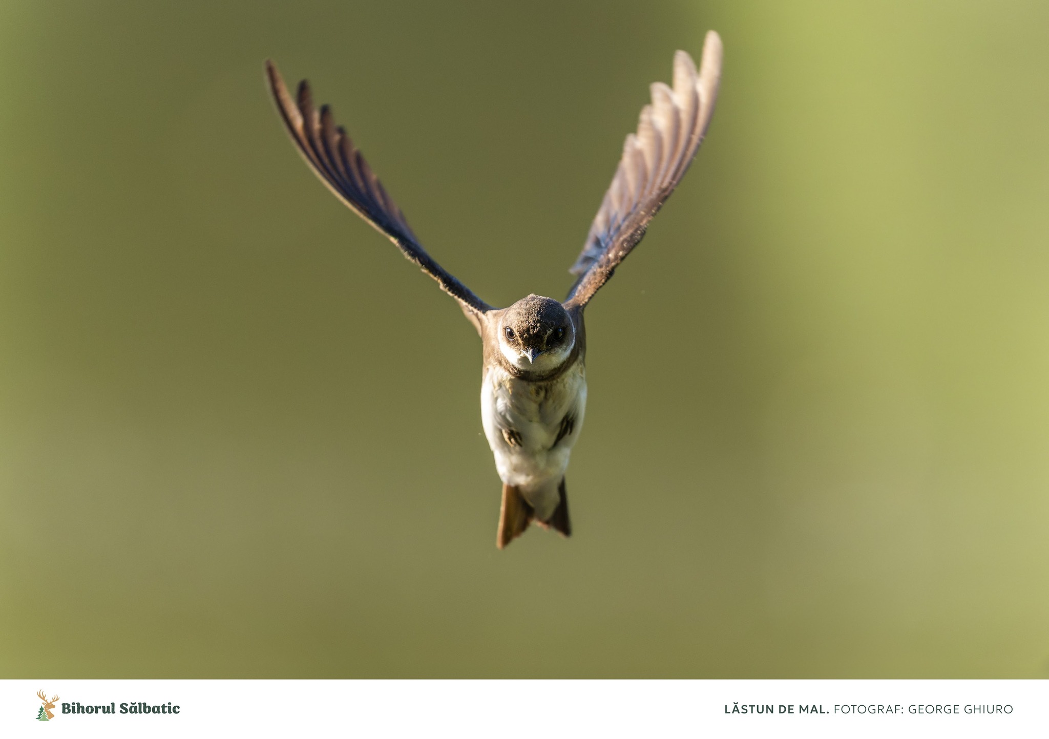 487754116_122197278800097014_2308452645585856280_n