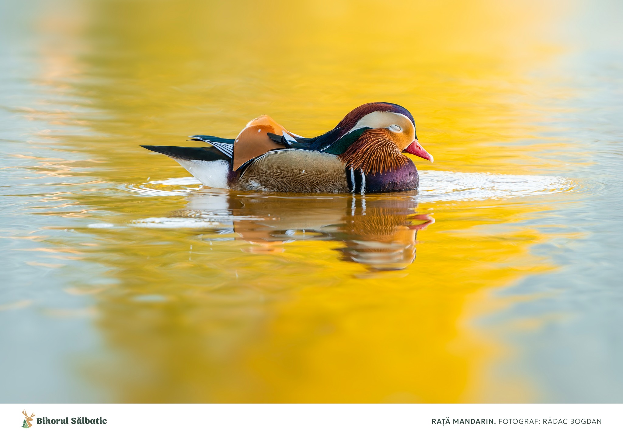 487944313_122197278656097014_9148523040596648016_n