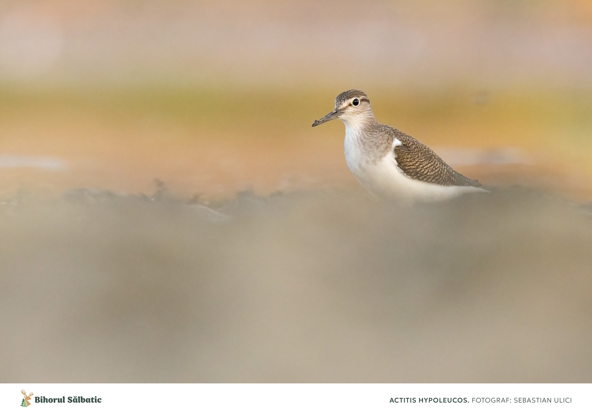 488012531_122197278578097014_8278492416226176934_n