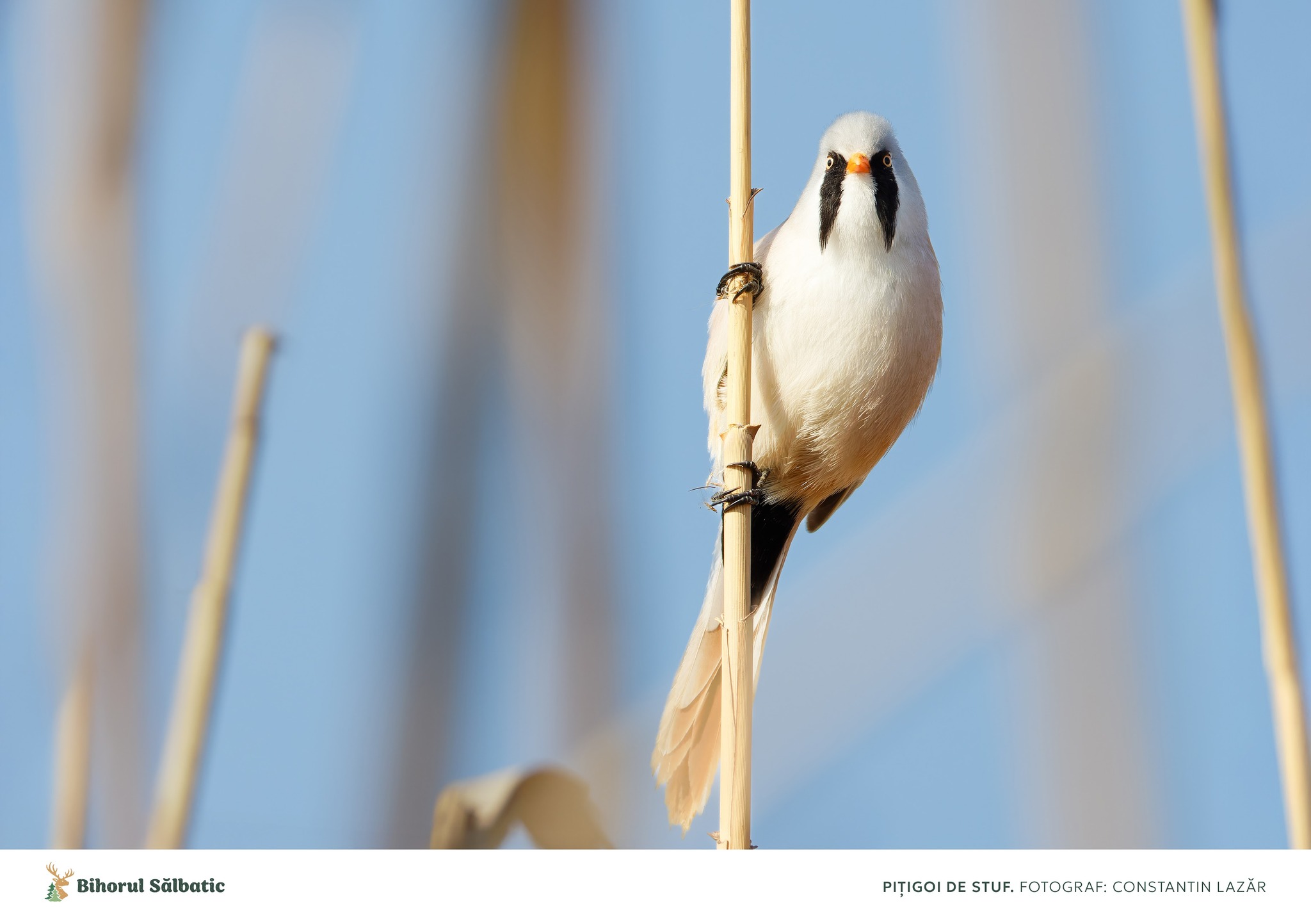 488472266_122197278566097014_6168677754165909203_n