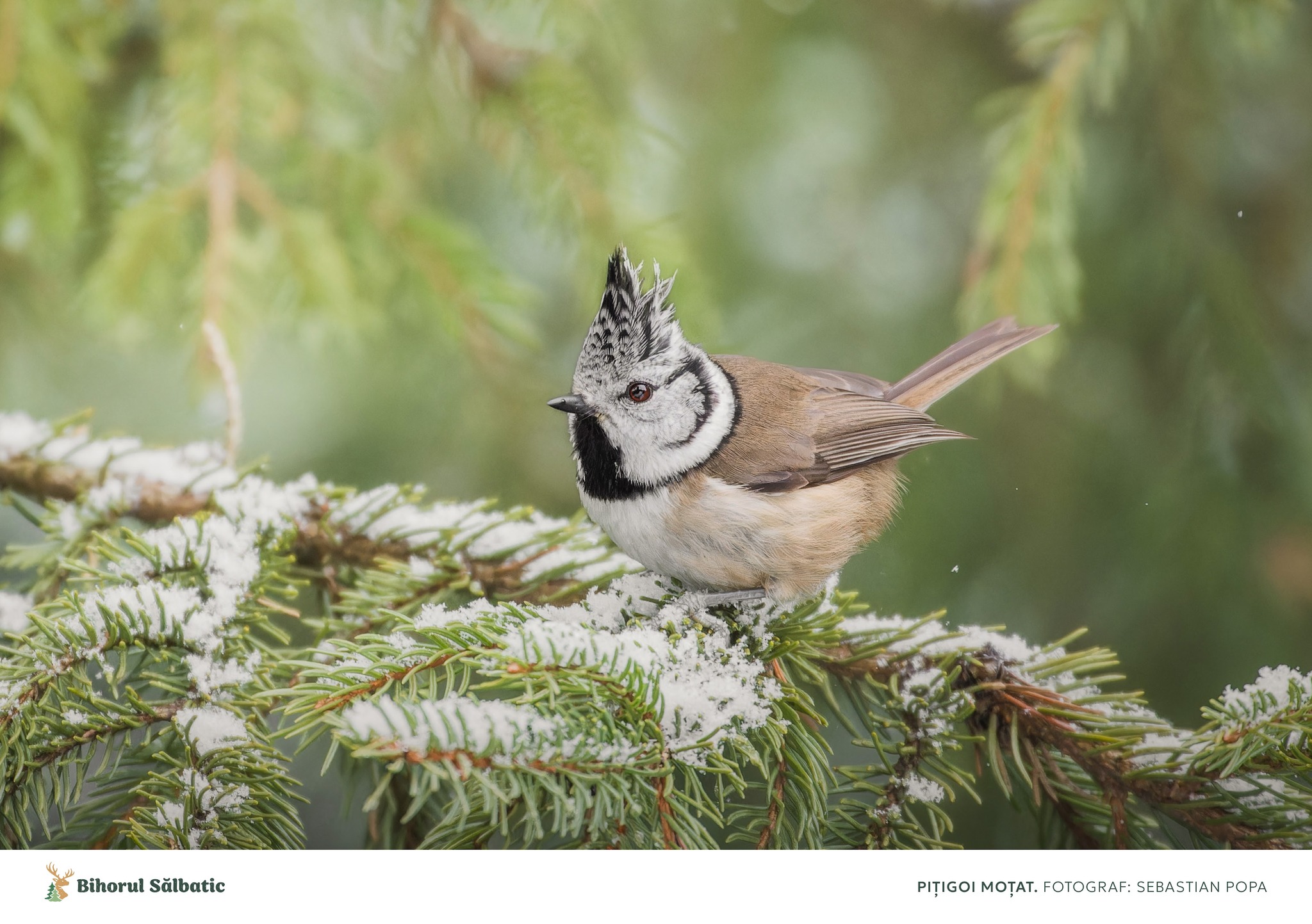 488538902_122197278818097014_5860593181067204428_n