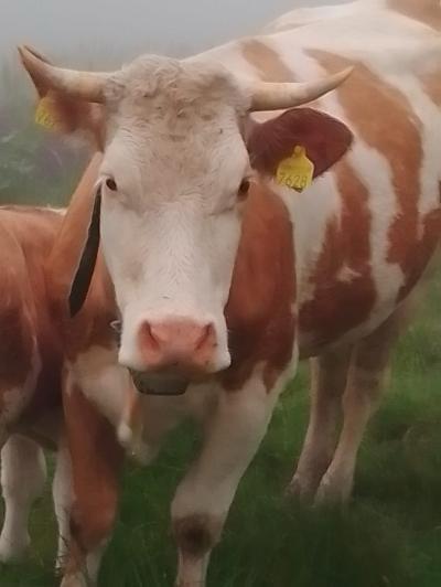 PHOTO-2025-04-17-08-49-50