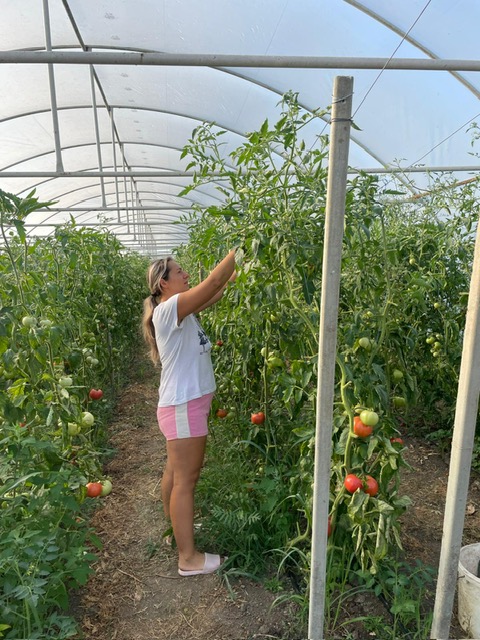 PHOTO-2025-04-17-08-49-45