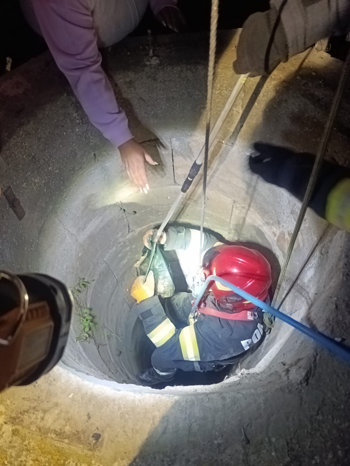 WhatsApp Image 2025-05-01 at 11.20.31