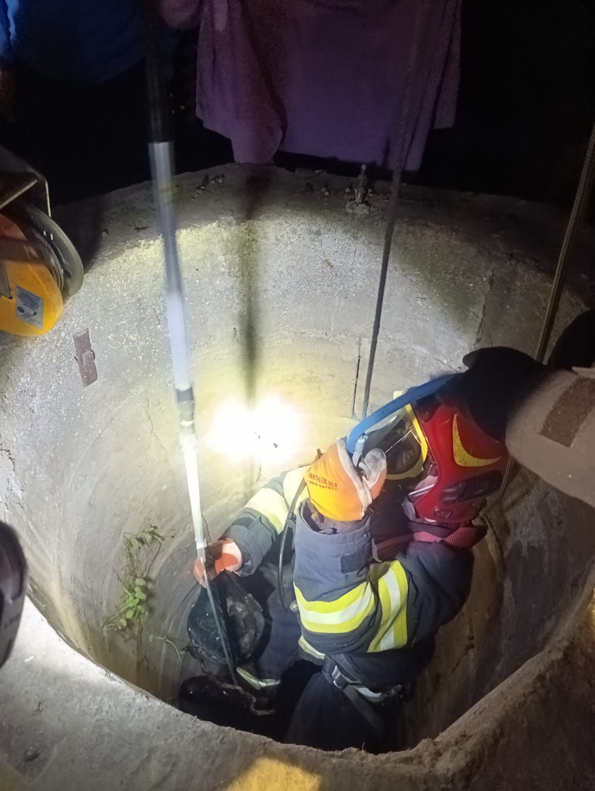 WhatsApp Image 2025-05-01 at 11.21.03