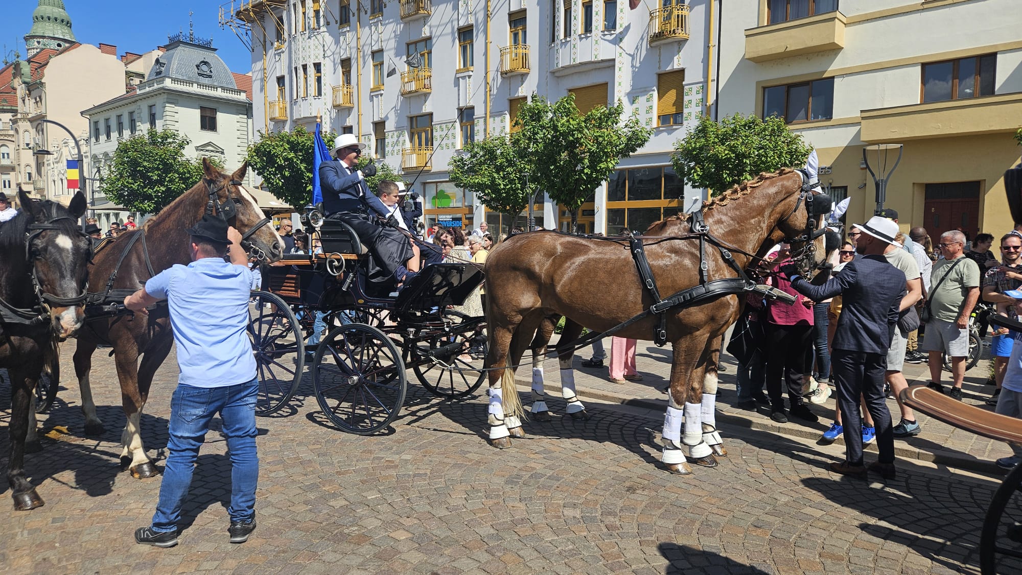 WhatsApp Image 2025-05-01 at 15.15.26