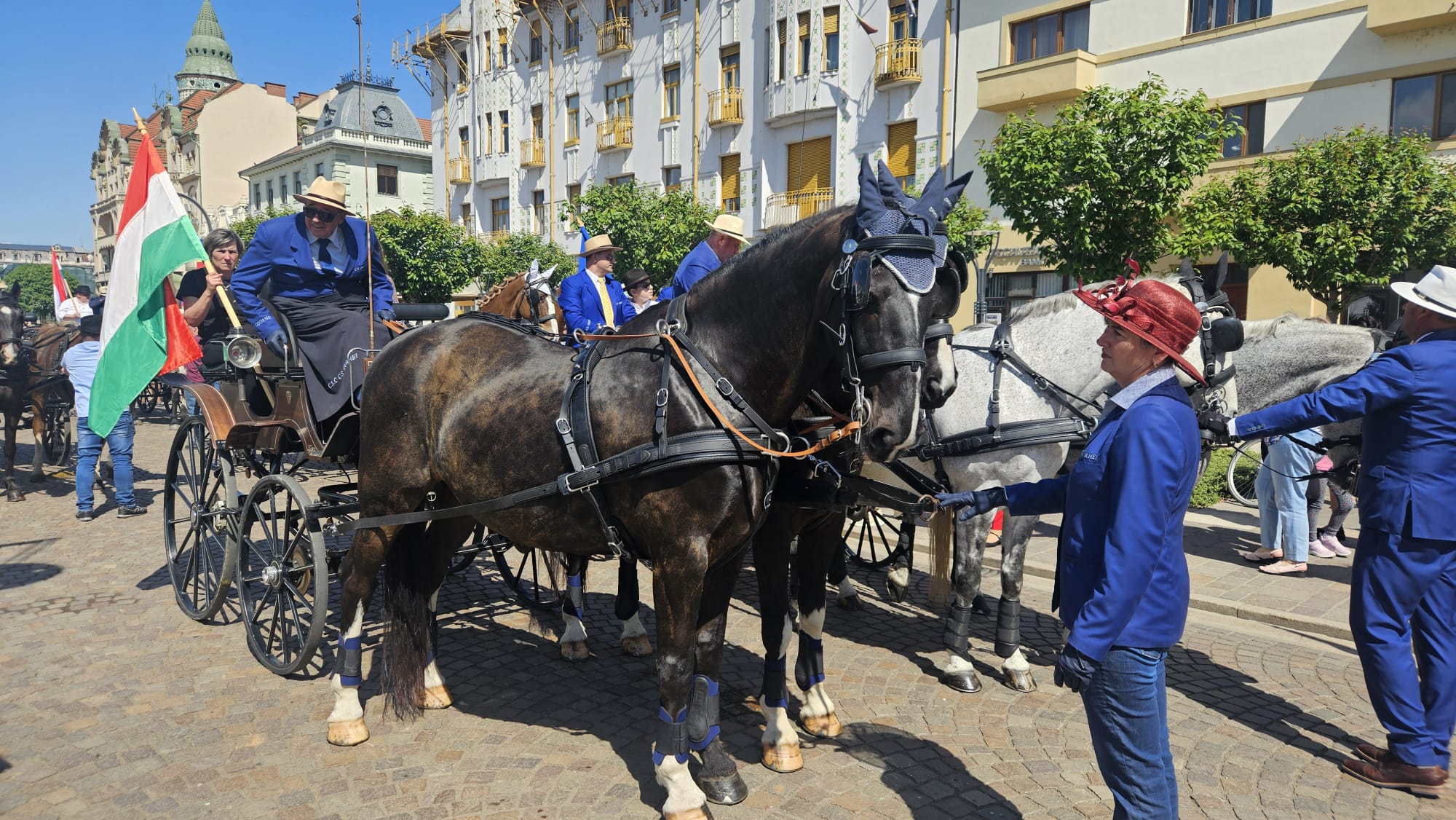 WhatsApp Image 2025-05-01 at 15.15.26 (2)