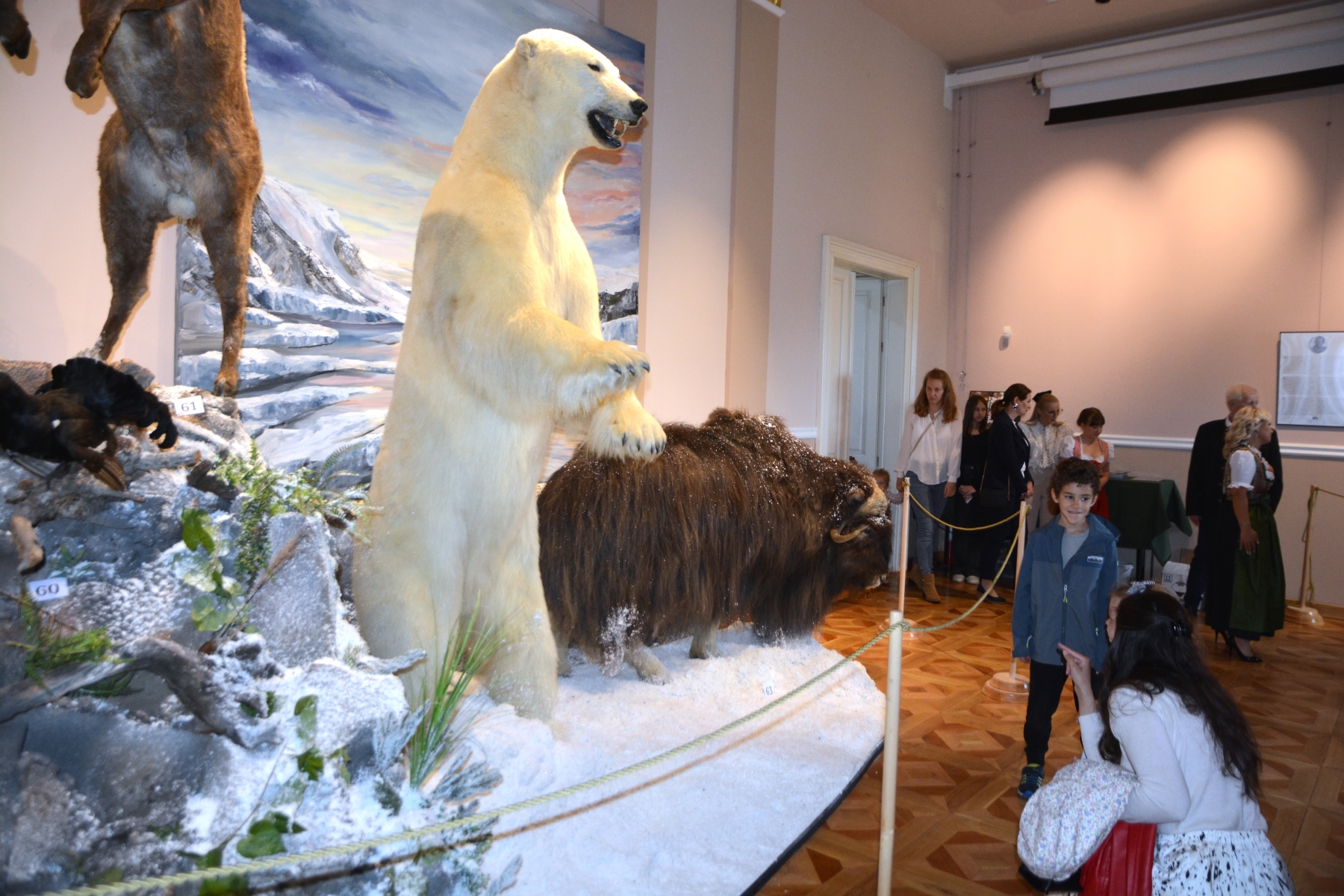 Expozitia Mamifere mari din patru continente (27)