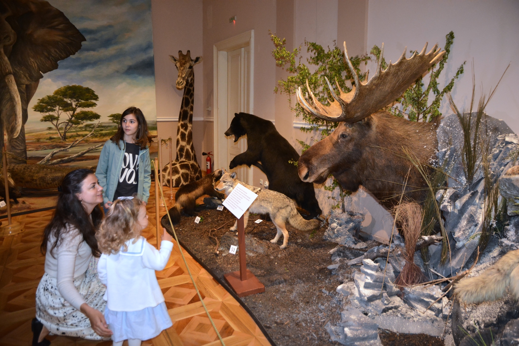 Expozitia Mamifere mari din patru continente (29)