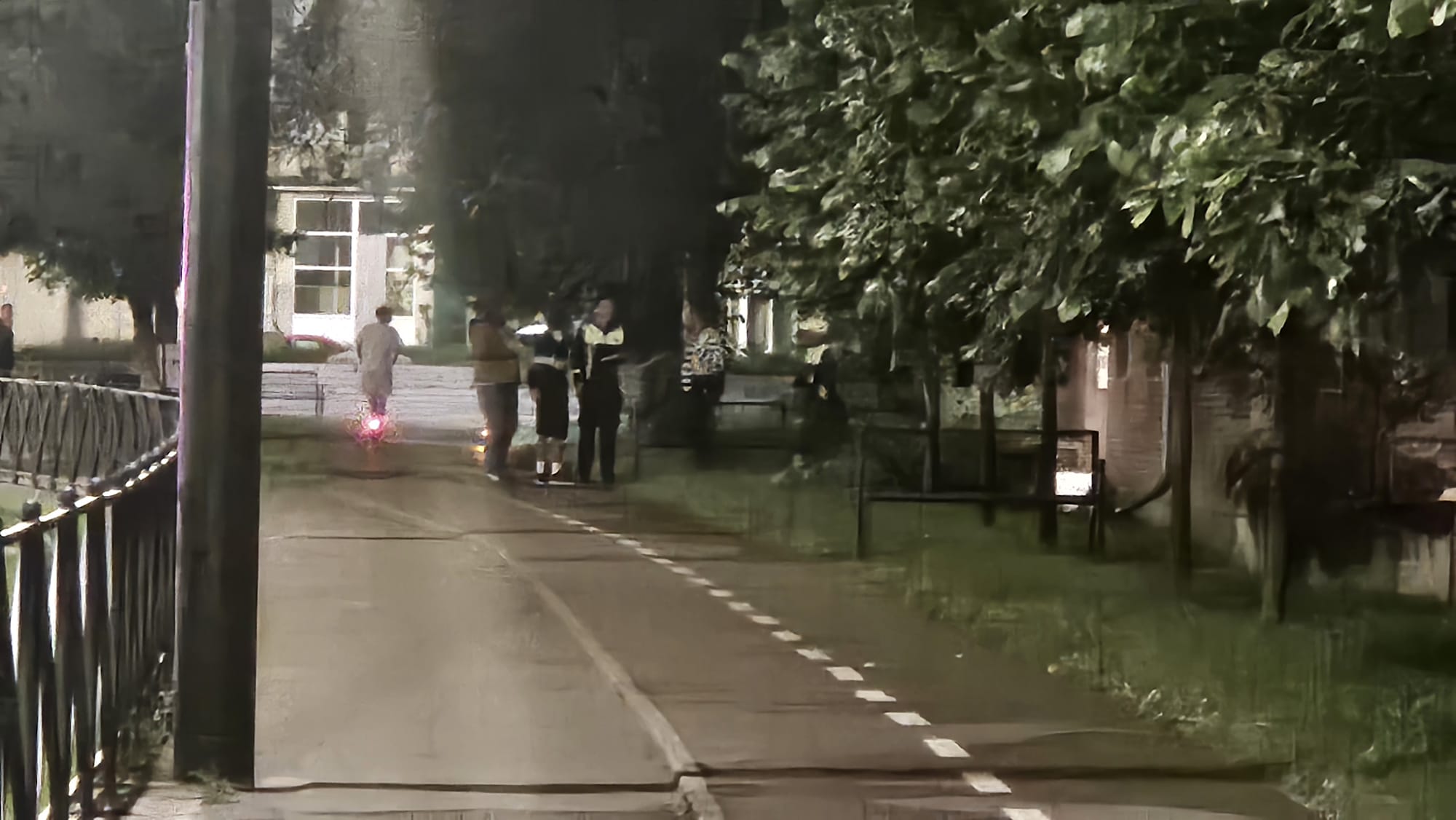 trotineta electronica (11)