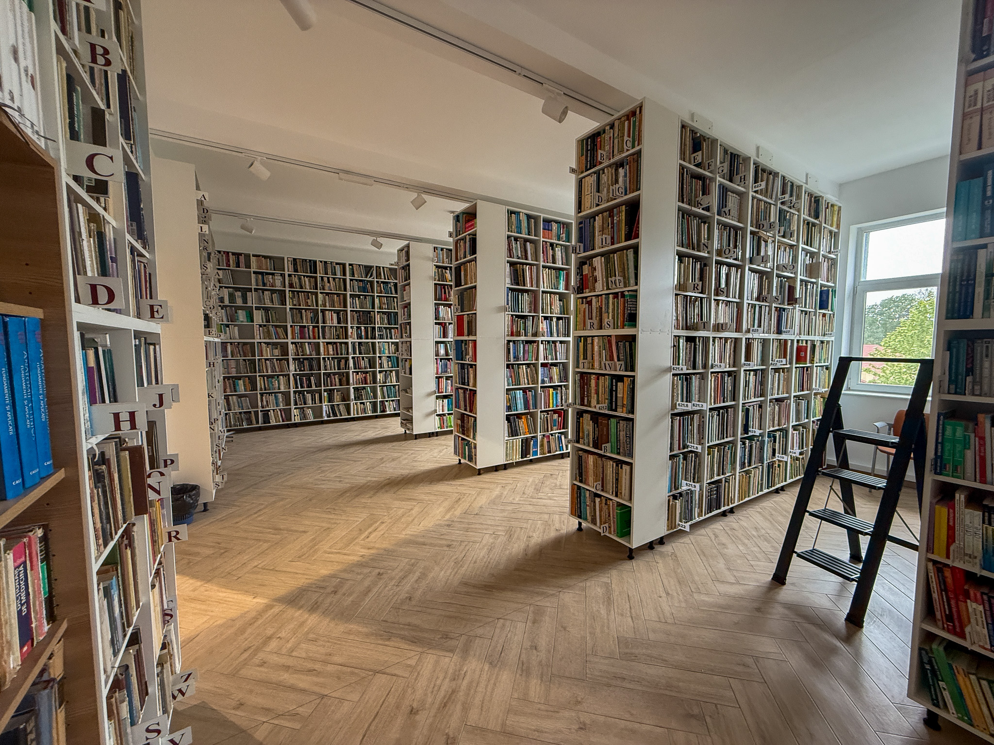 Biblioteca Judeteana - Bihor (10)