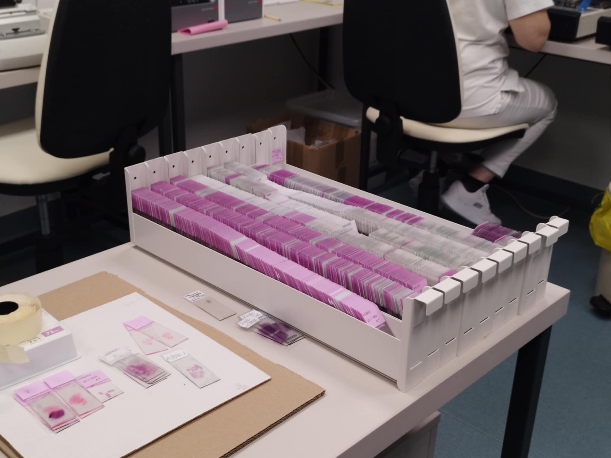 406f8a6b-7361-4664-8a64-12b7556dafd8