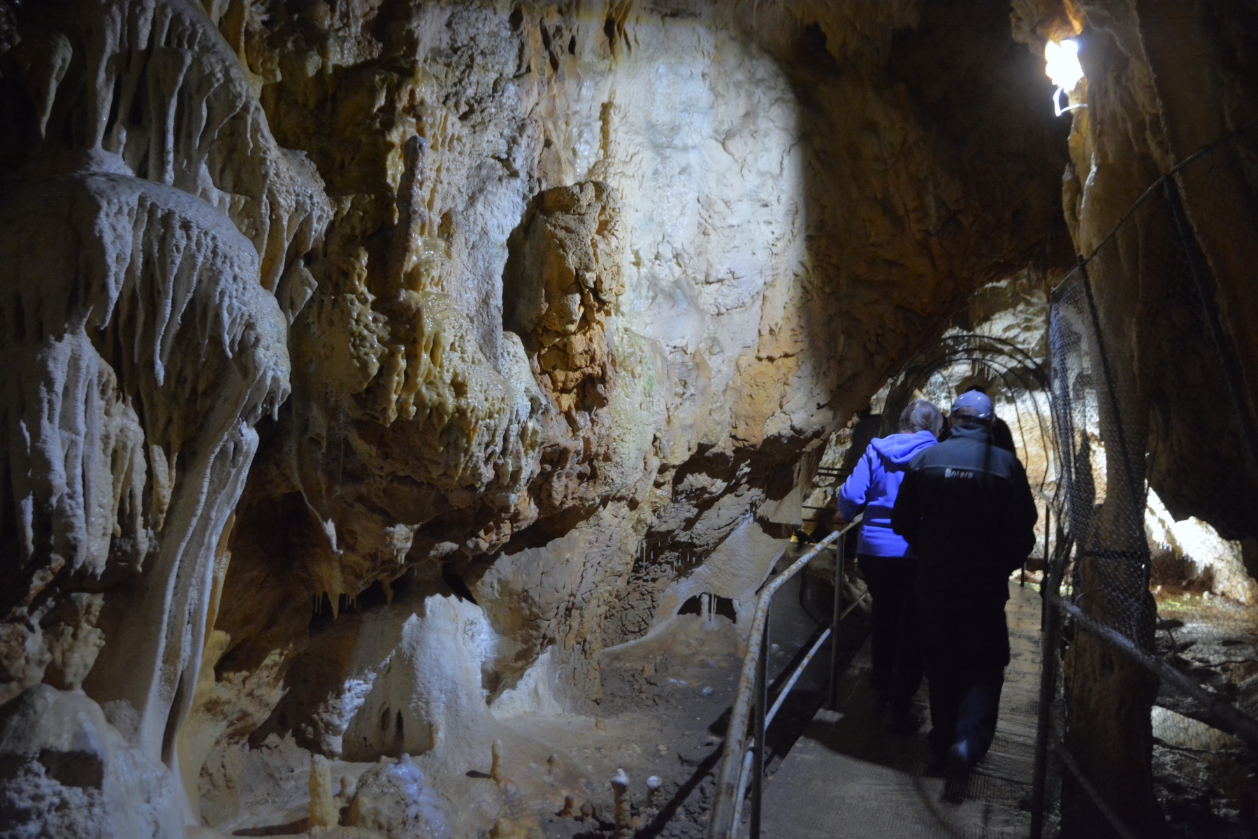 Concert în Peştera Urşilor Foto Cami Buşu (51)