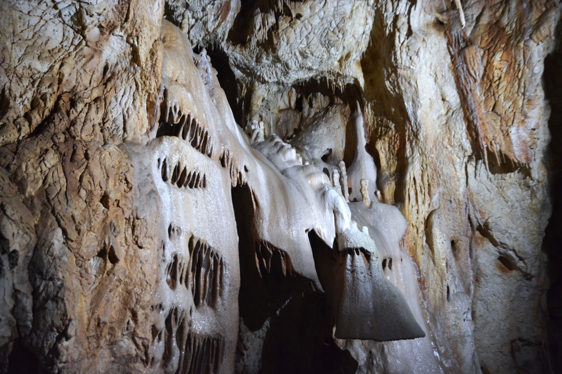 Concert în Peştera Urşilor Foto Cami Buşu (54)