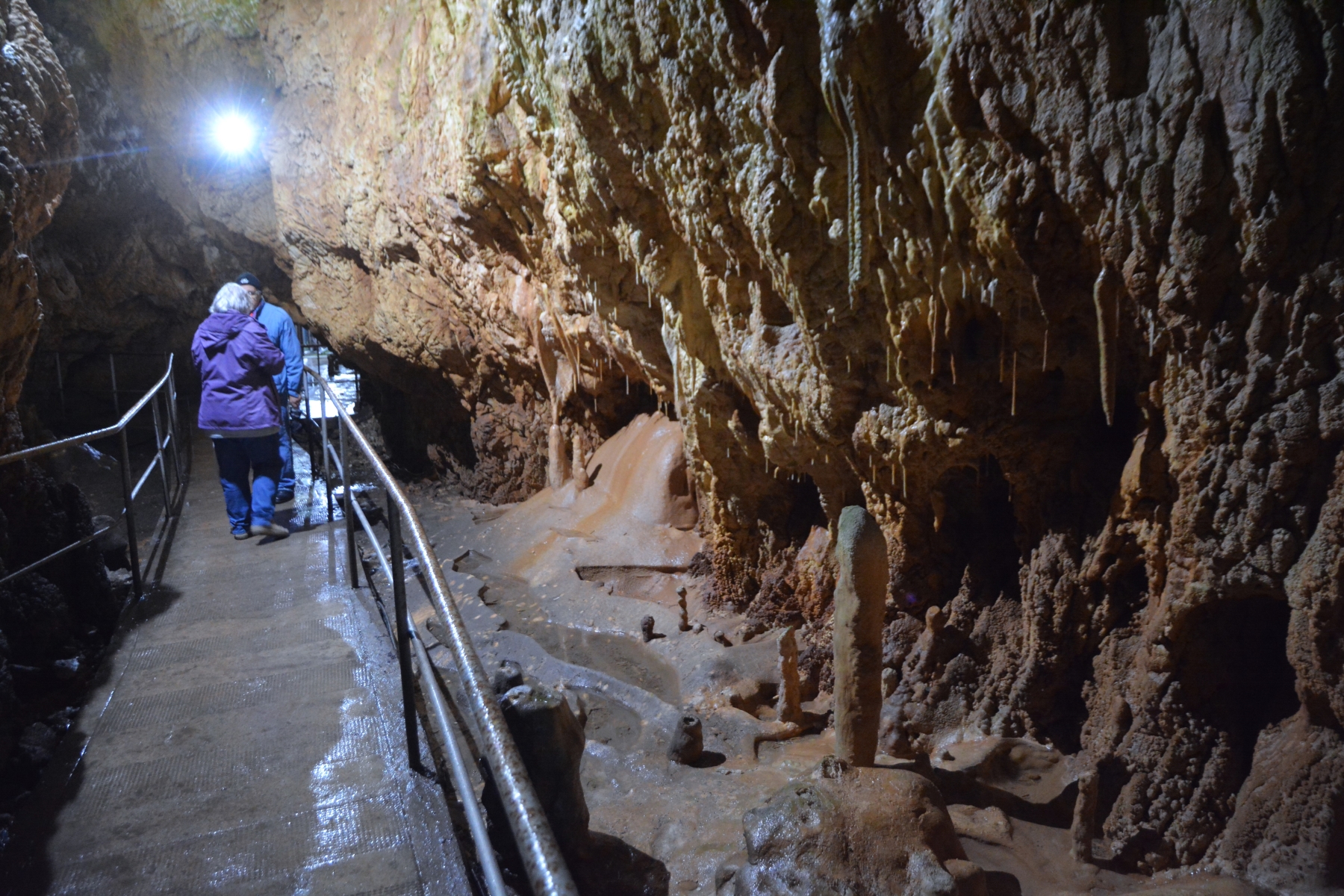 Concert în Peştera Urşilor Foto Cami Buşu (58)