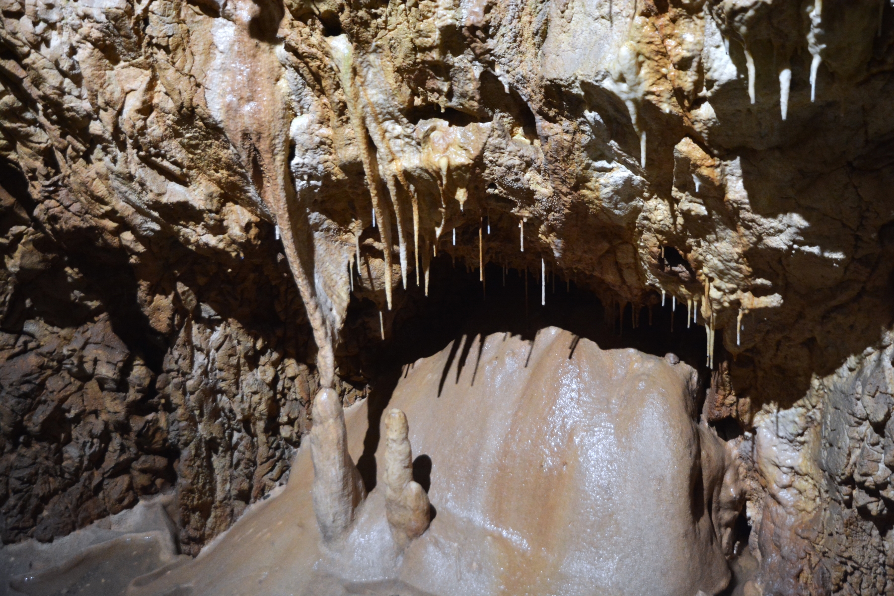 Concert în Peştera Urşilor Foto Cami Buşu (59)