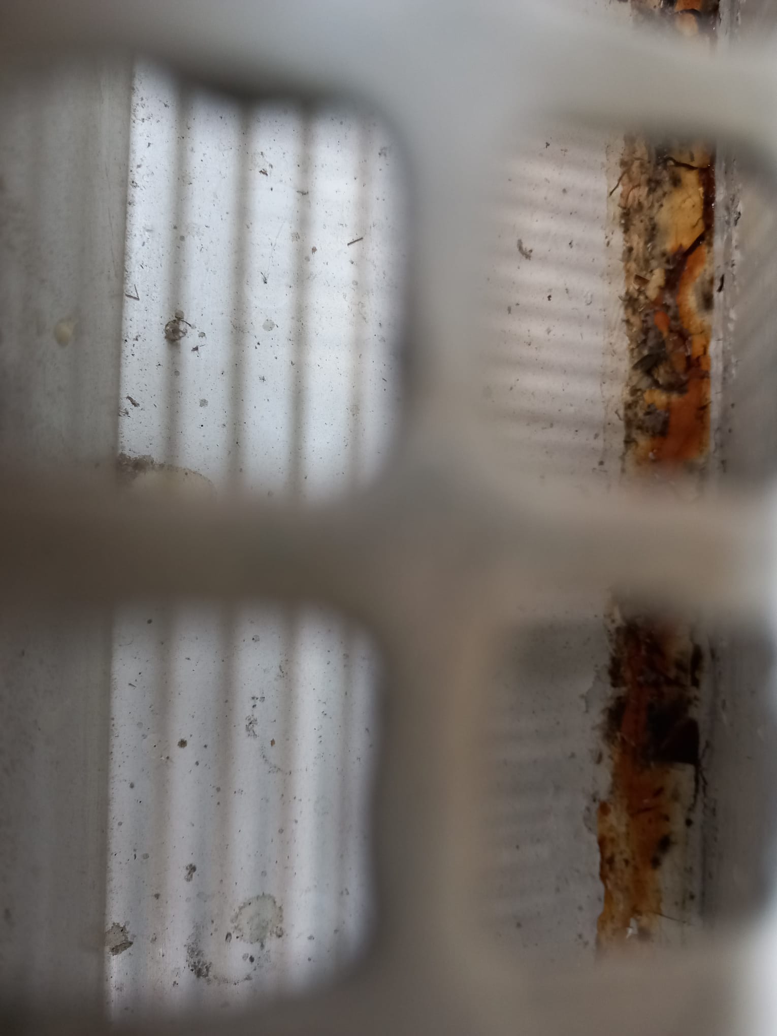 WhatsApp Image 2025-05-30 at 15.46.51 (1)